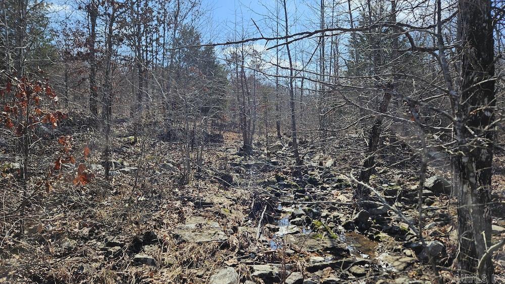 Photo 10 - Vacant Land for sale – Tract DE  Rocky Rd   Bradford, AR