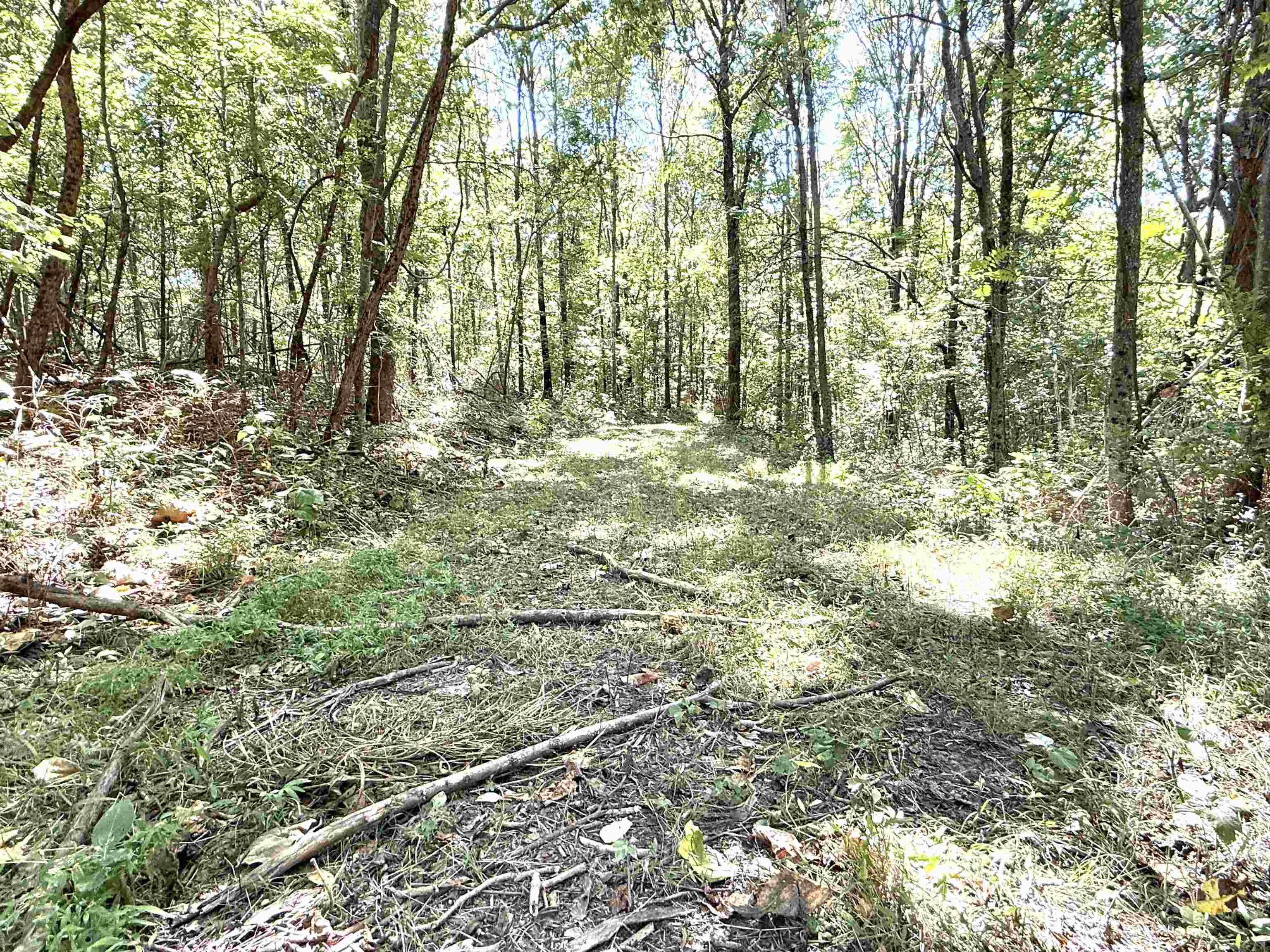 Photo 35 - Residential for sale – 115A  Love Hollow Road   Mount Pleasant, AR