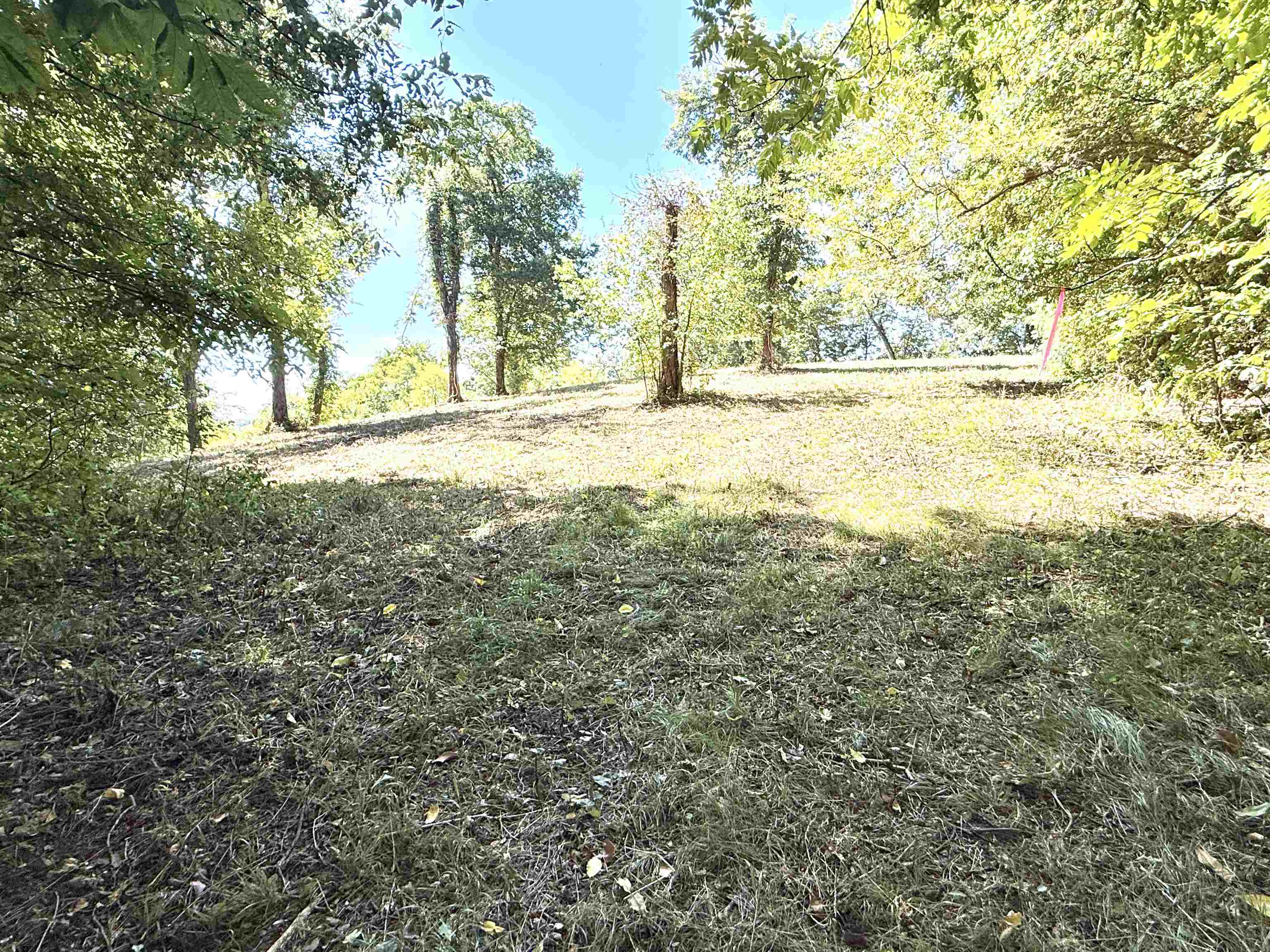 Photo 36 - Residential for sale – 115A  Love Hollow Road   Mount Pleasant, AR