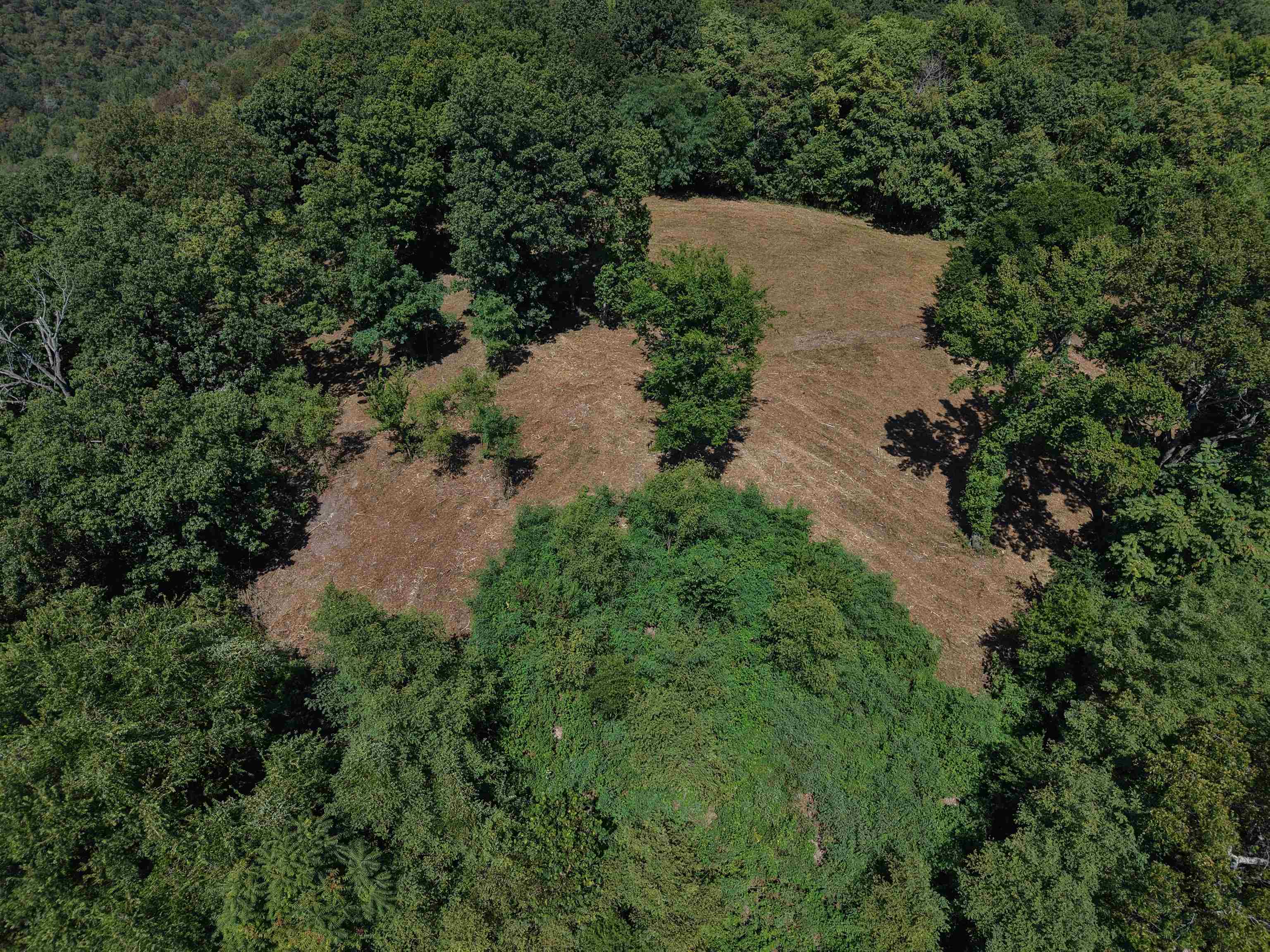 Photo 5 - Residential for sale – 115A  Love Hollow Road   Mount Pleasant, AR