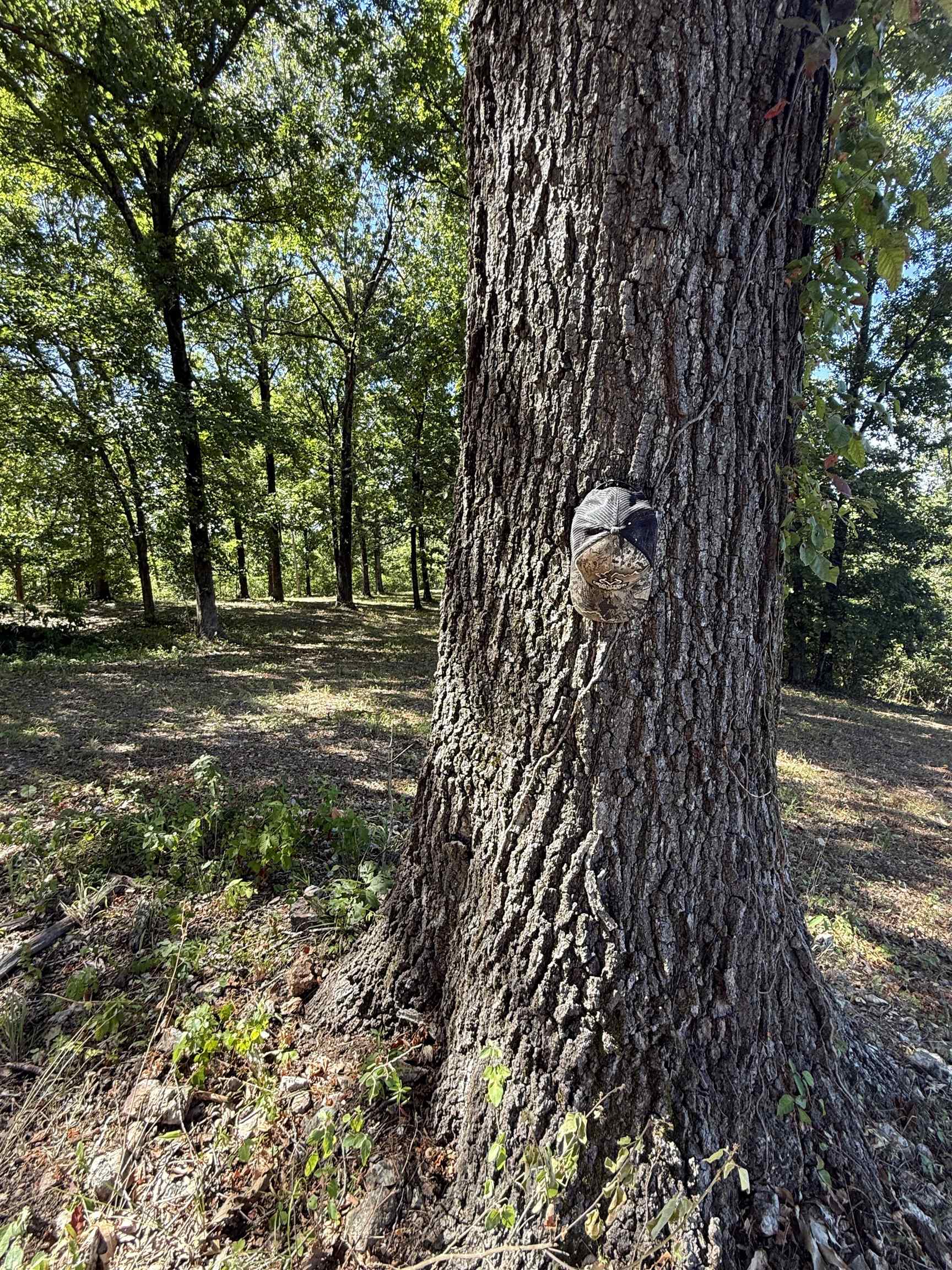 Photo 43 - Residential for sale – 115A  Love Hollow Road   Mount Pleasant, AR