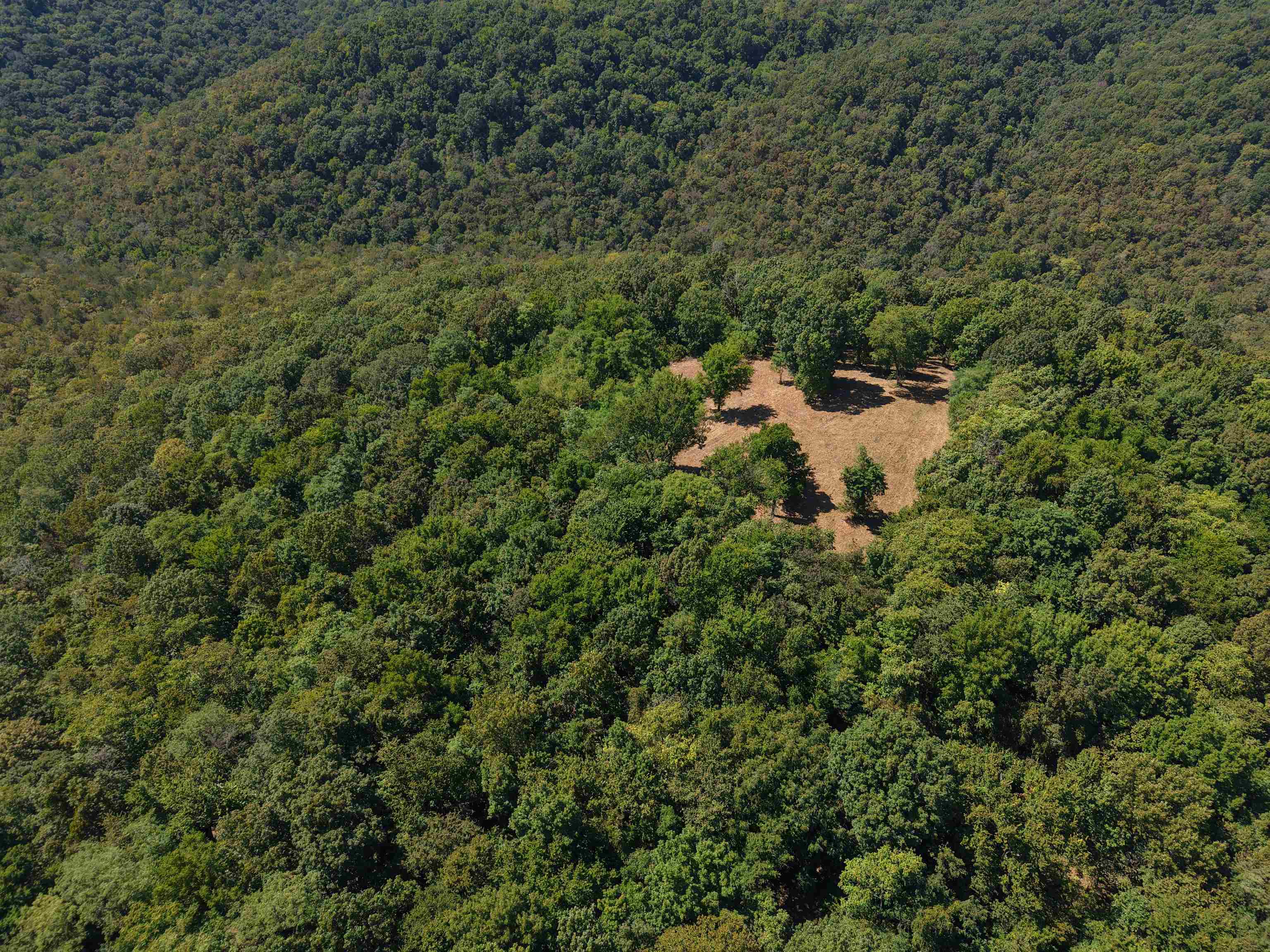 Photo 47 - Residential for sale – 115A  Love Hollow Road   Mount Pleasant, AR