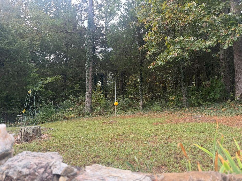 Photo 25 - Residential for sale – 10  Yosemite   Cherokee Village, AR