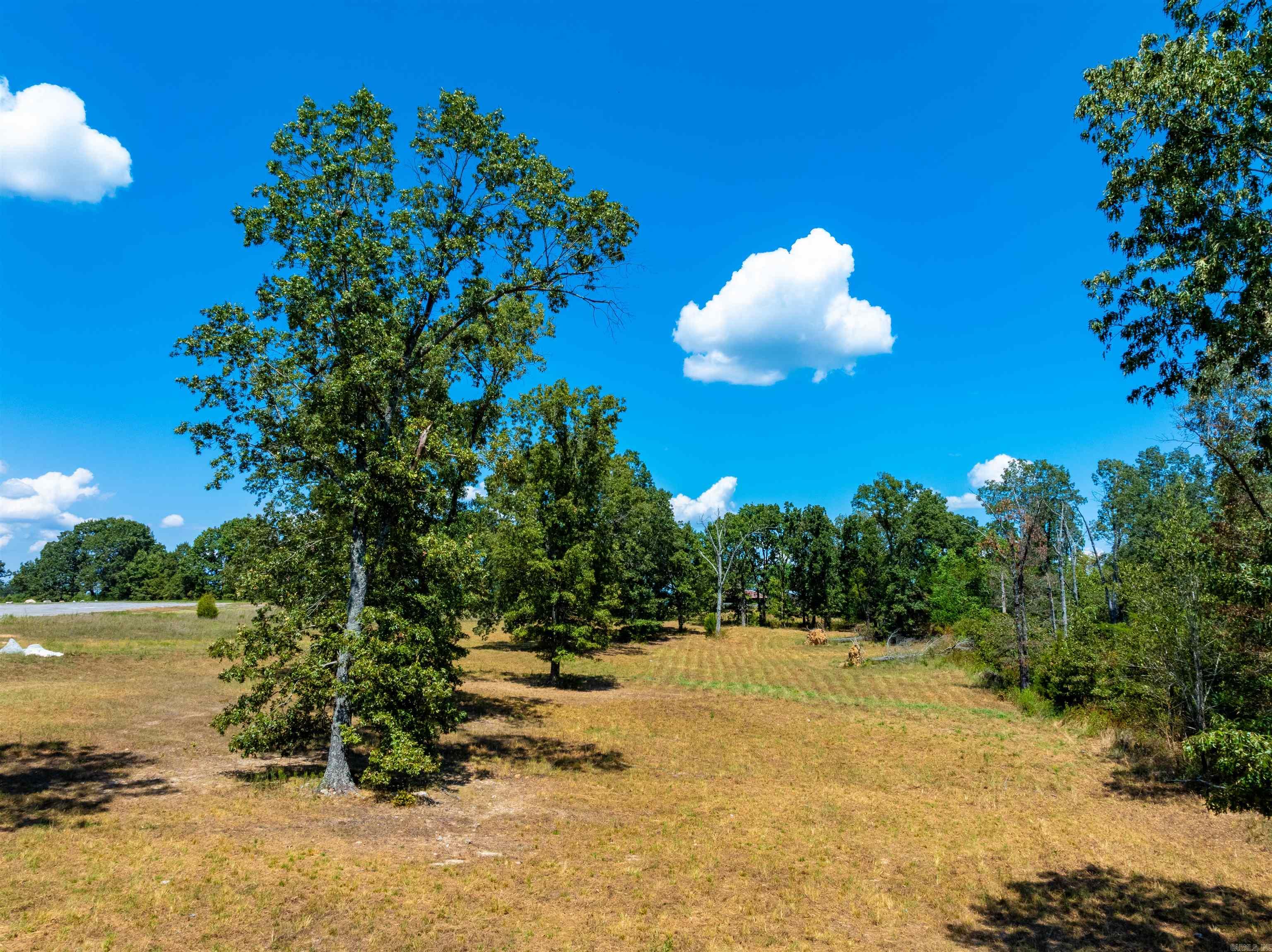 Photo 4 - Vacant Land for sale – 0  Hwy 62E/412   Glencoe, AR