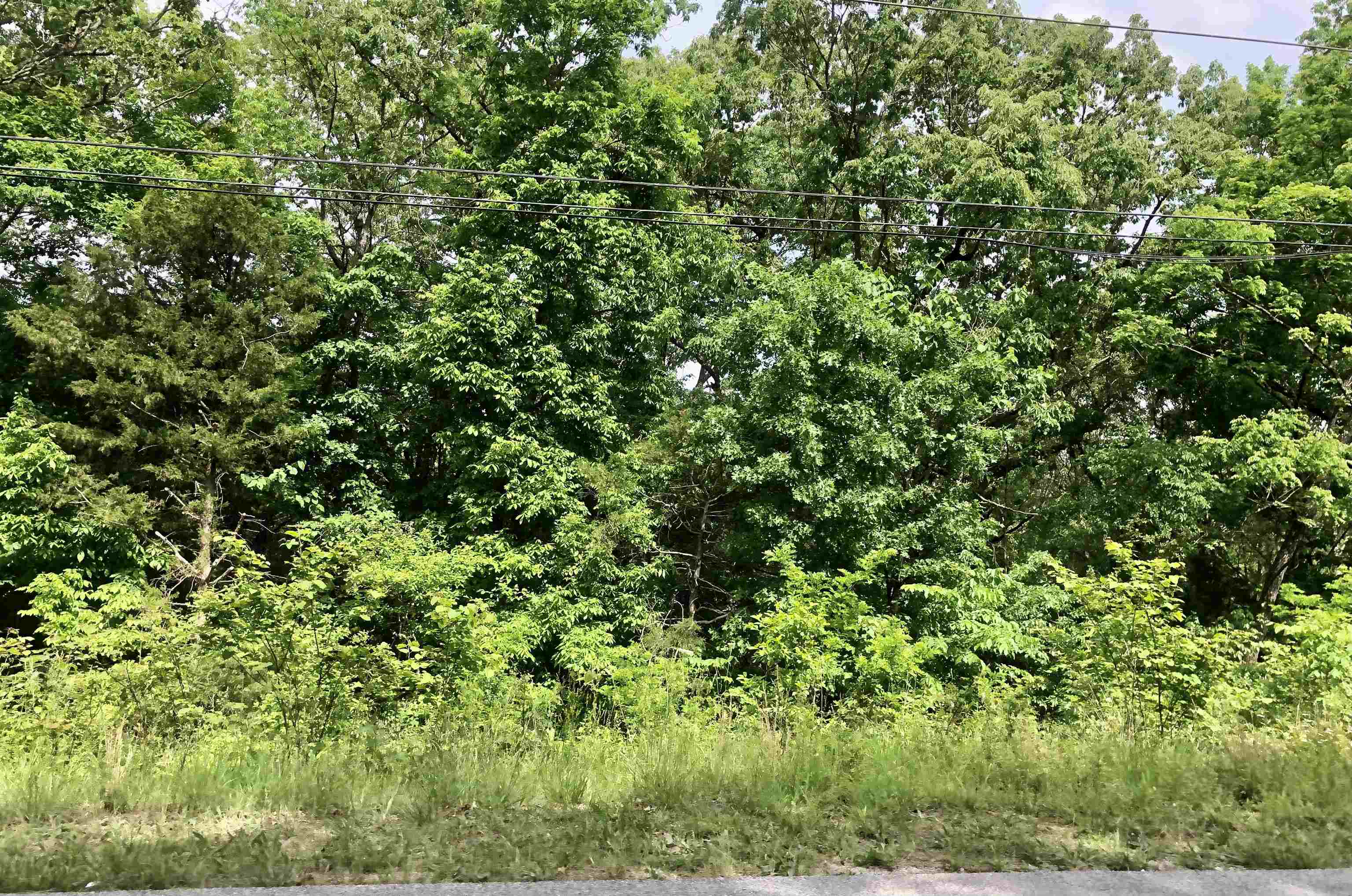 Vacant Land for sale –   Lakeview   Hardy, AR