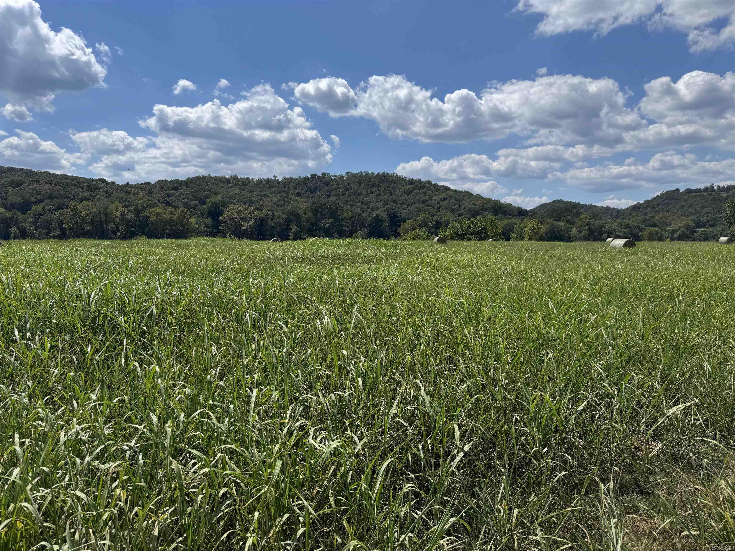 Photo 2 - Vacant Land for sale – 39-40  White River Run   Guion, AR
