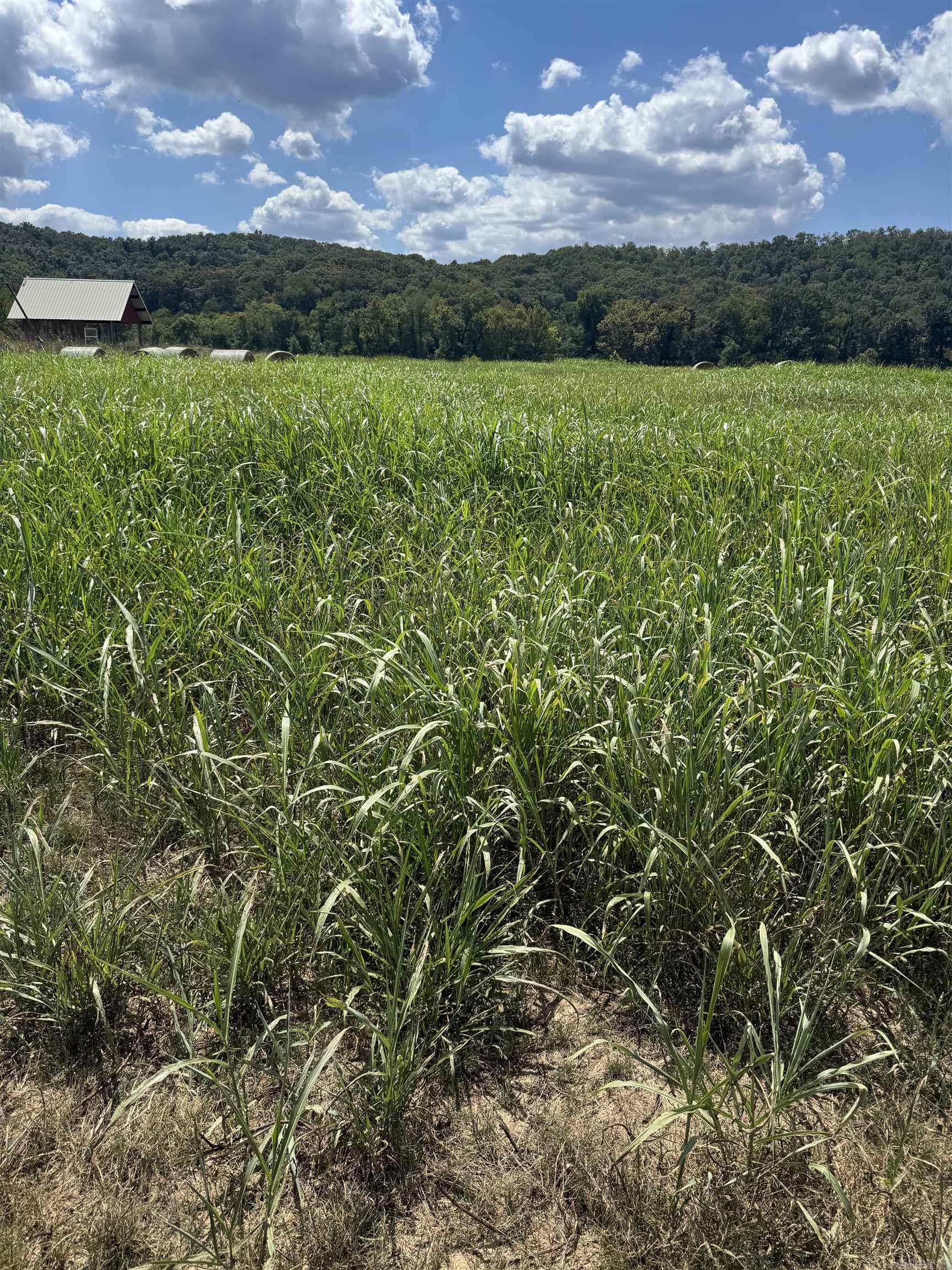 Vacant Land for sale – 50, 59, 60  White River Run   Guion, AR