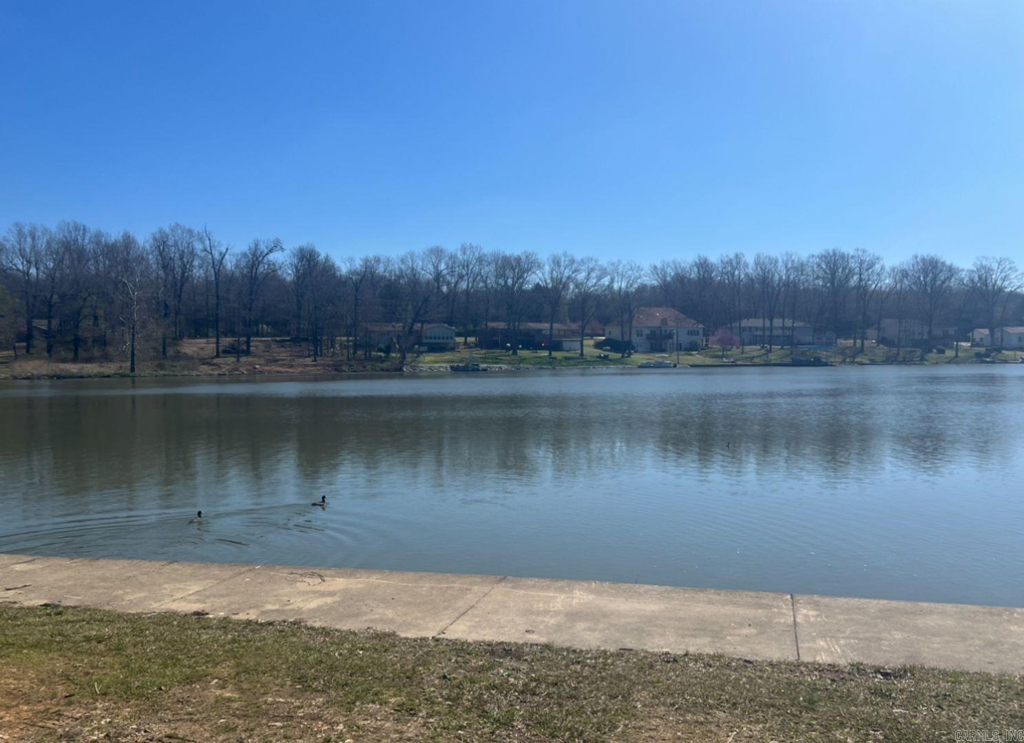 Photo 3 - Vacant Land for sale – 105  Opal Ln   Horseshoe Bend, AR