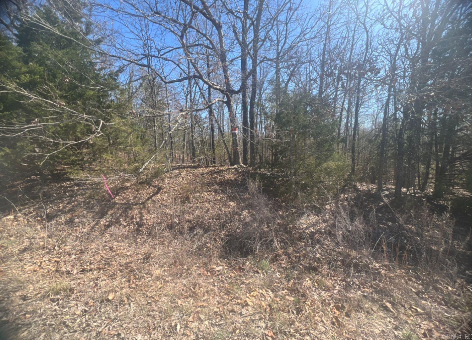 Photo 2 - Vacant Land for sale – 1208  Michigan Ave   Horseshoe Bend, AR