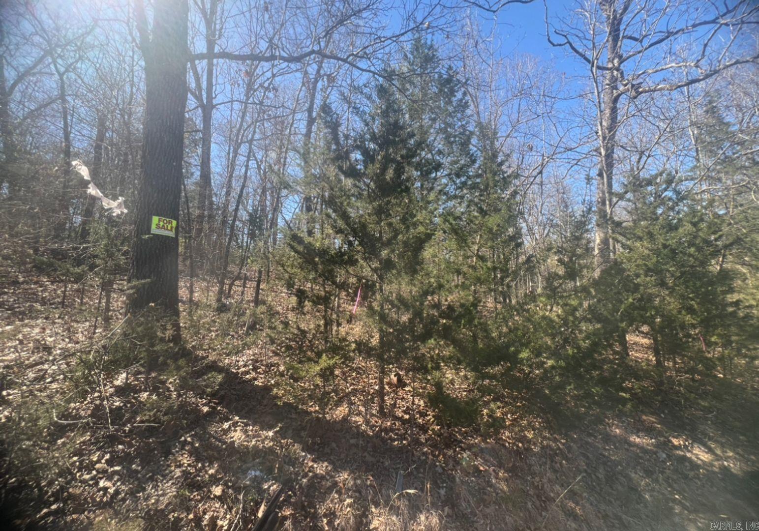 Vacant Land for sale – 1311 E Ridge Cir   Horseshoe Bend, AR