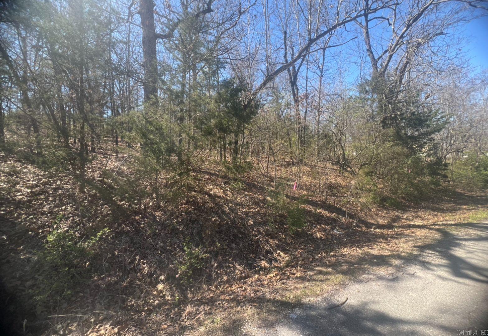 Photo 2 - Vacant Land for sale – 1311 E Ridge Cir   Horseshoe Bend, AR