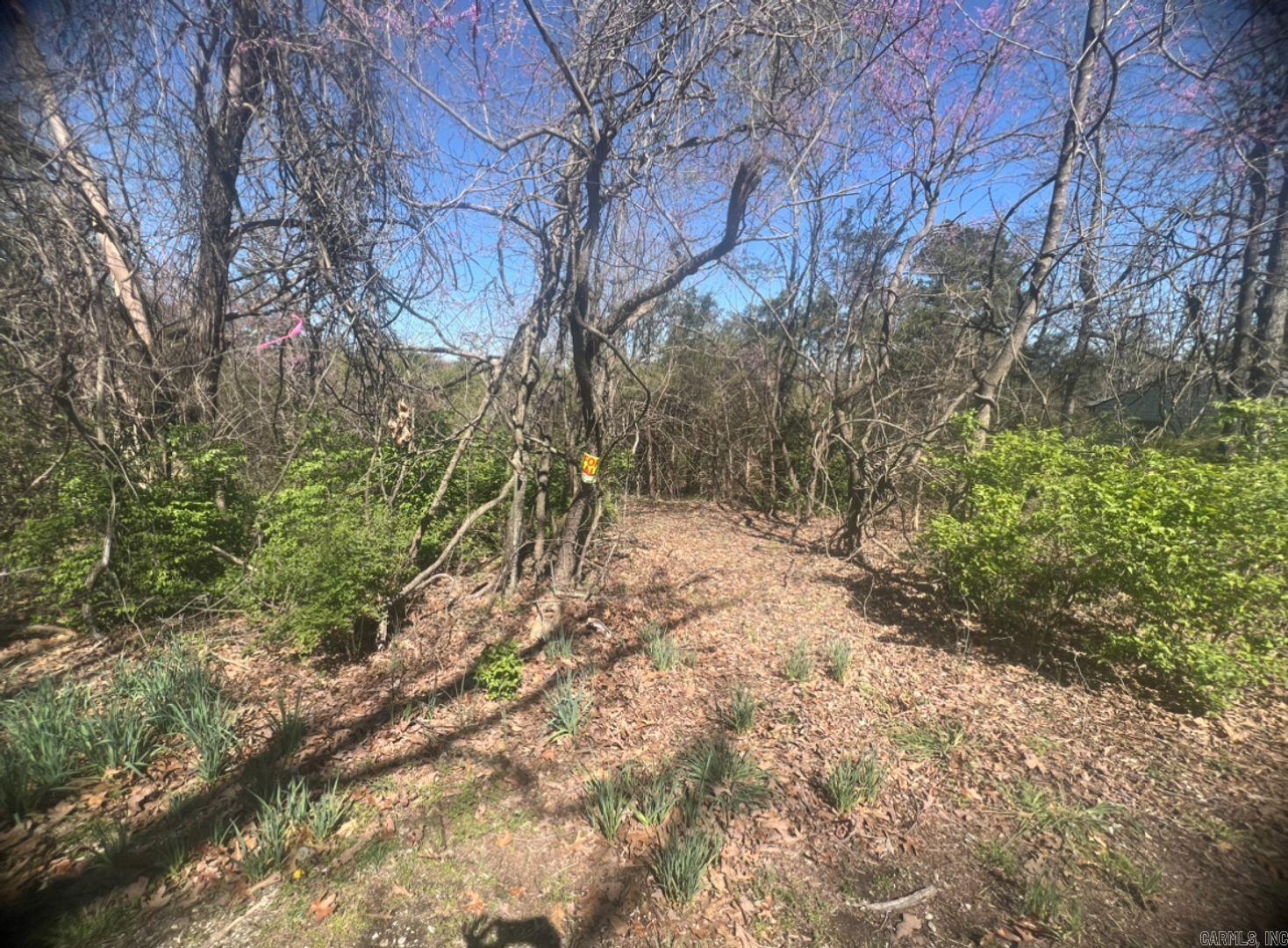 Vacant Land for sale – 1334 E Ridge Cir   Horseshoe Bend, AR