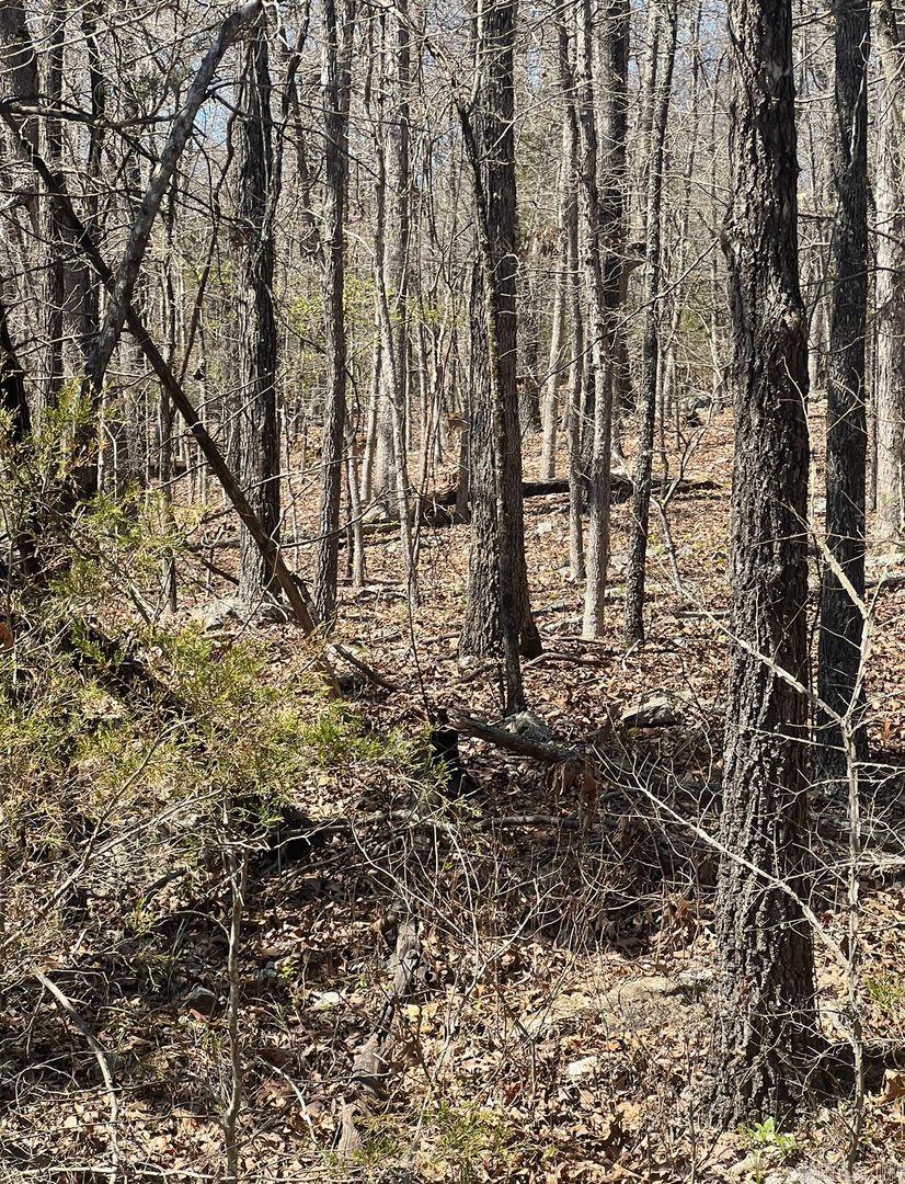 Vacant Land for sale – 1502  Lookout Dr   Horseshoe Bend, AR