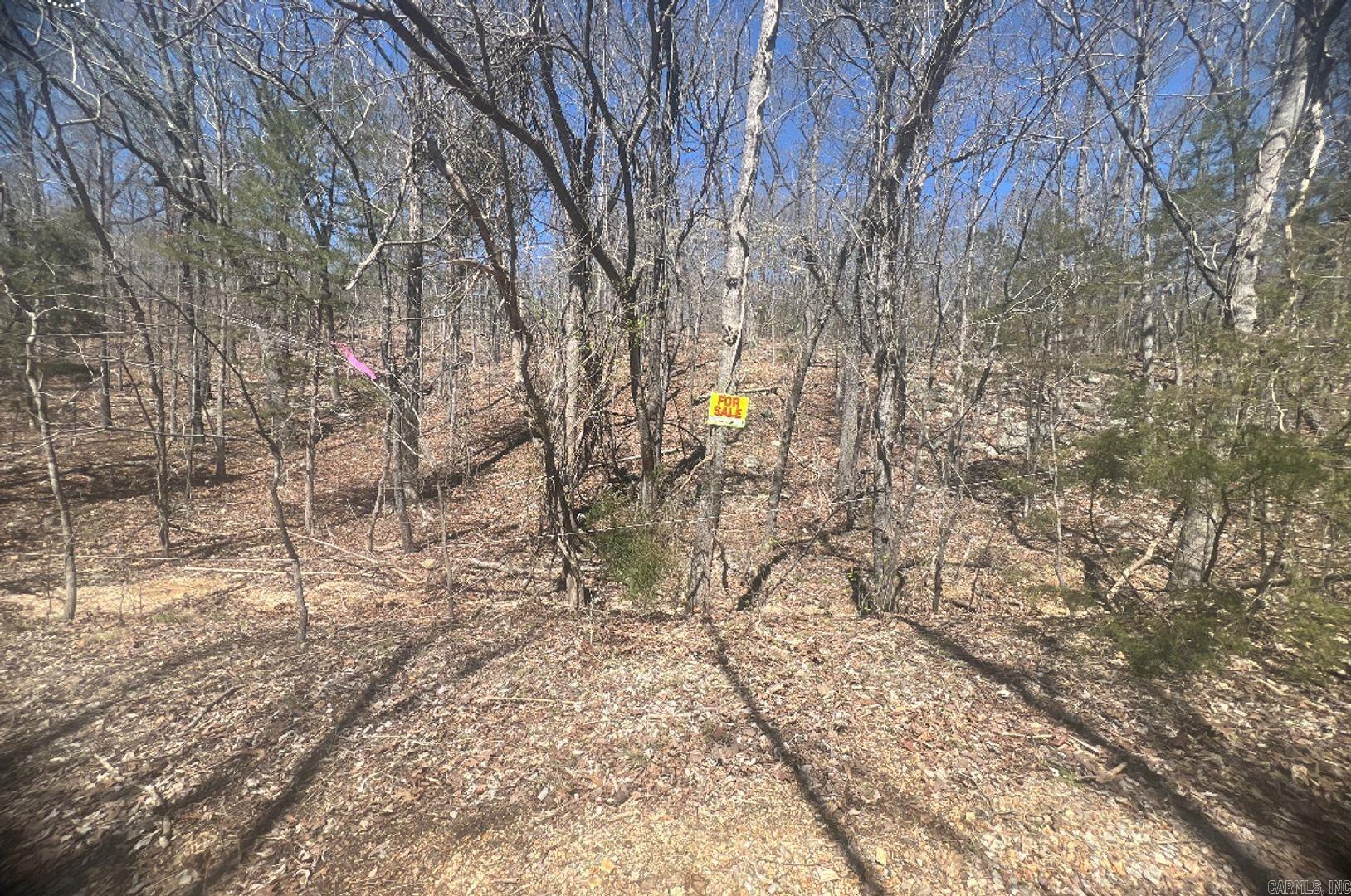 Vacant Land for sale – 1905  Spring Dr   Horseshoe Bend, AR
