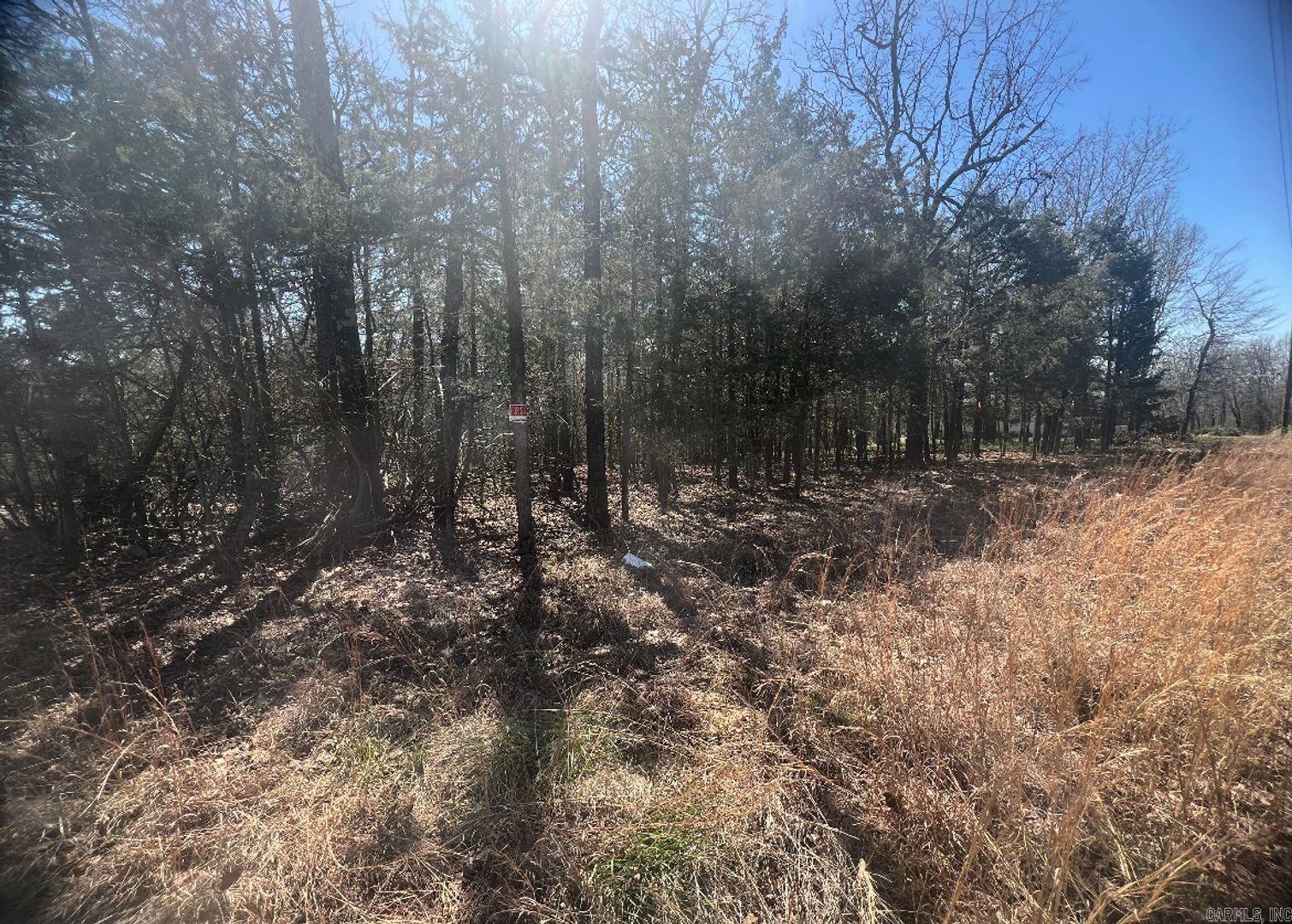 Photo 2 - Vacant Land for sale – 201  Regal Ln   Horseshoe Bend, AR