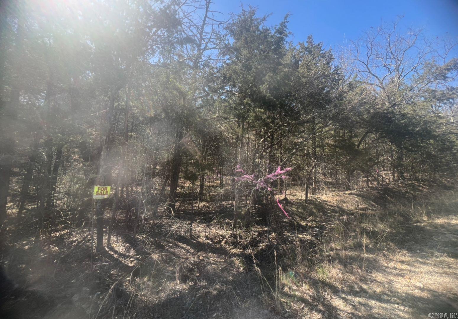 Vacant Land for sale – 203  Pavilion Ln   Horseshoe Bend, AR