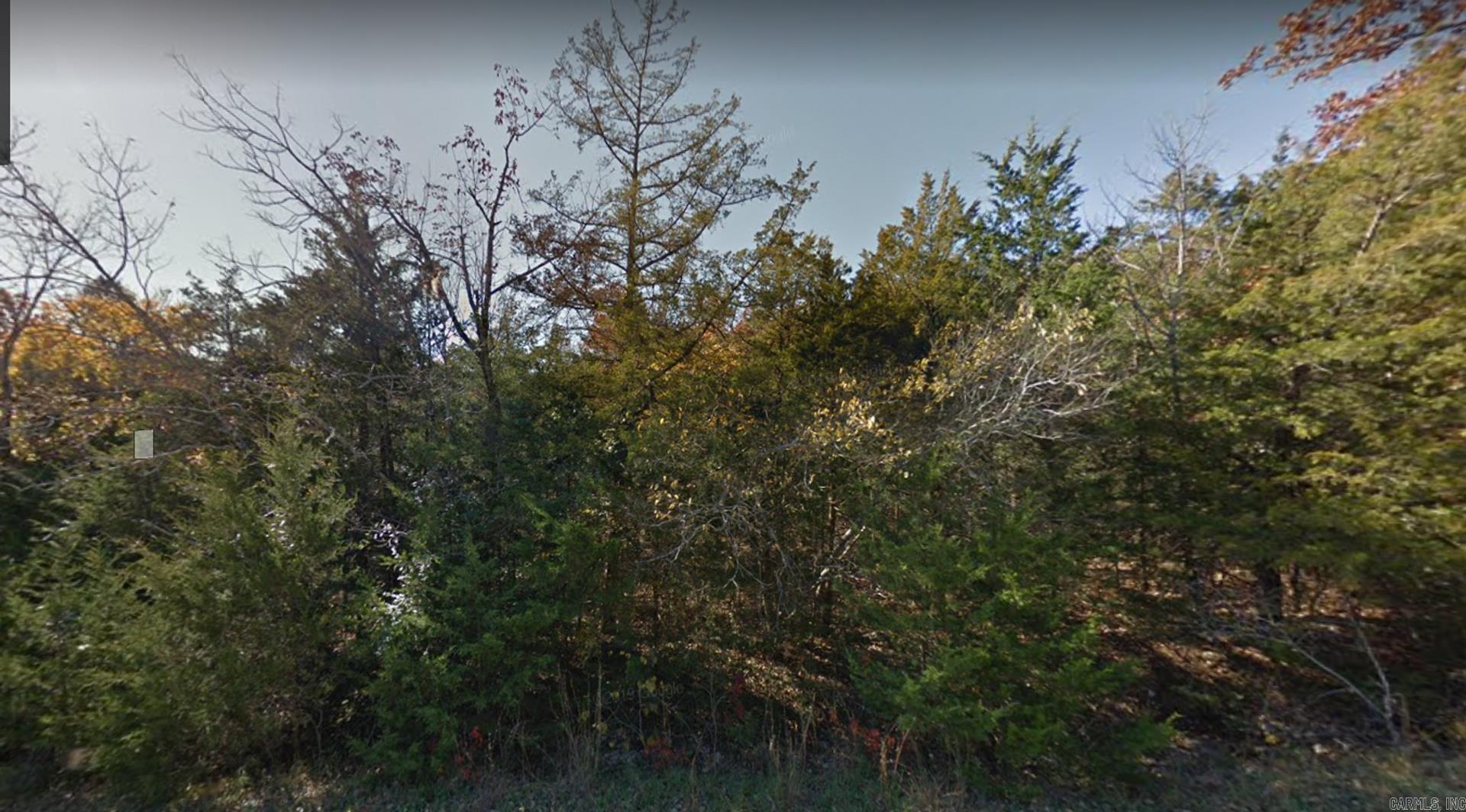 Photo 8 - Vacant Land for sale – 203  Pavilion Ln   Horseshoe Bend, AR