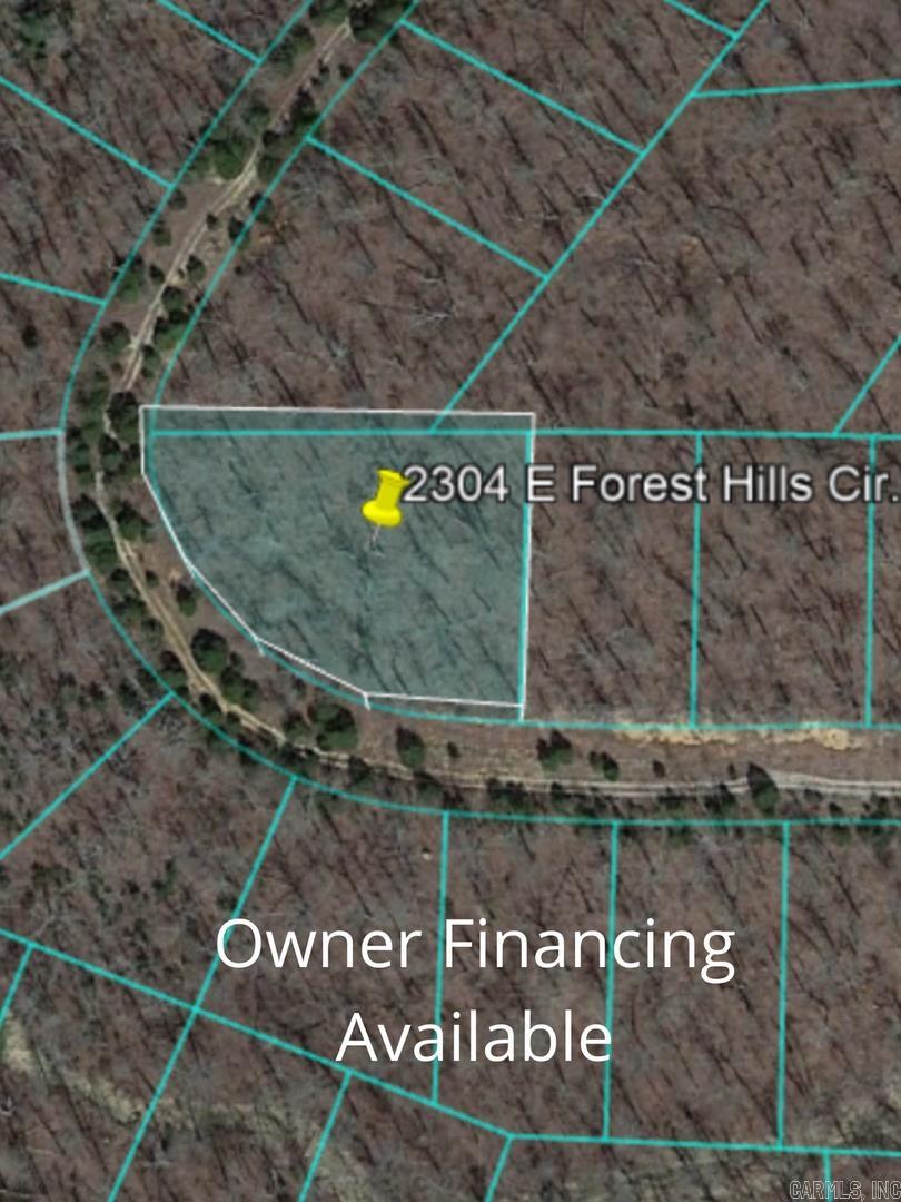 Photo 2 - Vacant Land for sale – 2304 E Forest Hills Cir   Horseshoe Bend, AR