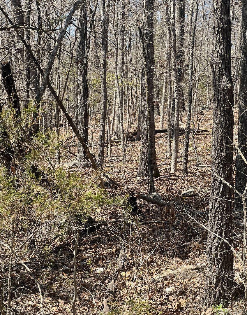 Vacant Land for sale – 605 W Forest Hills Cir   Horseshoe Bend, AR