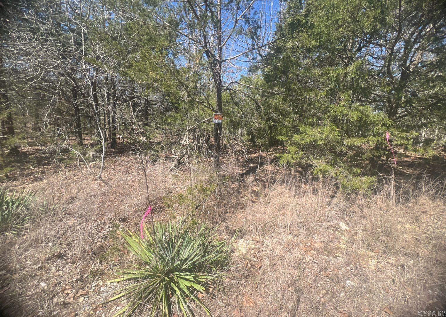 Vacant Land for sale – 809  Diamond Cove Ln   Horseshoe Bend, AR