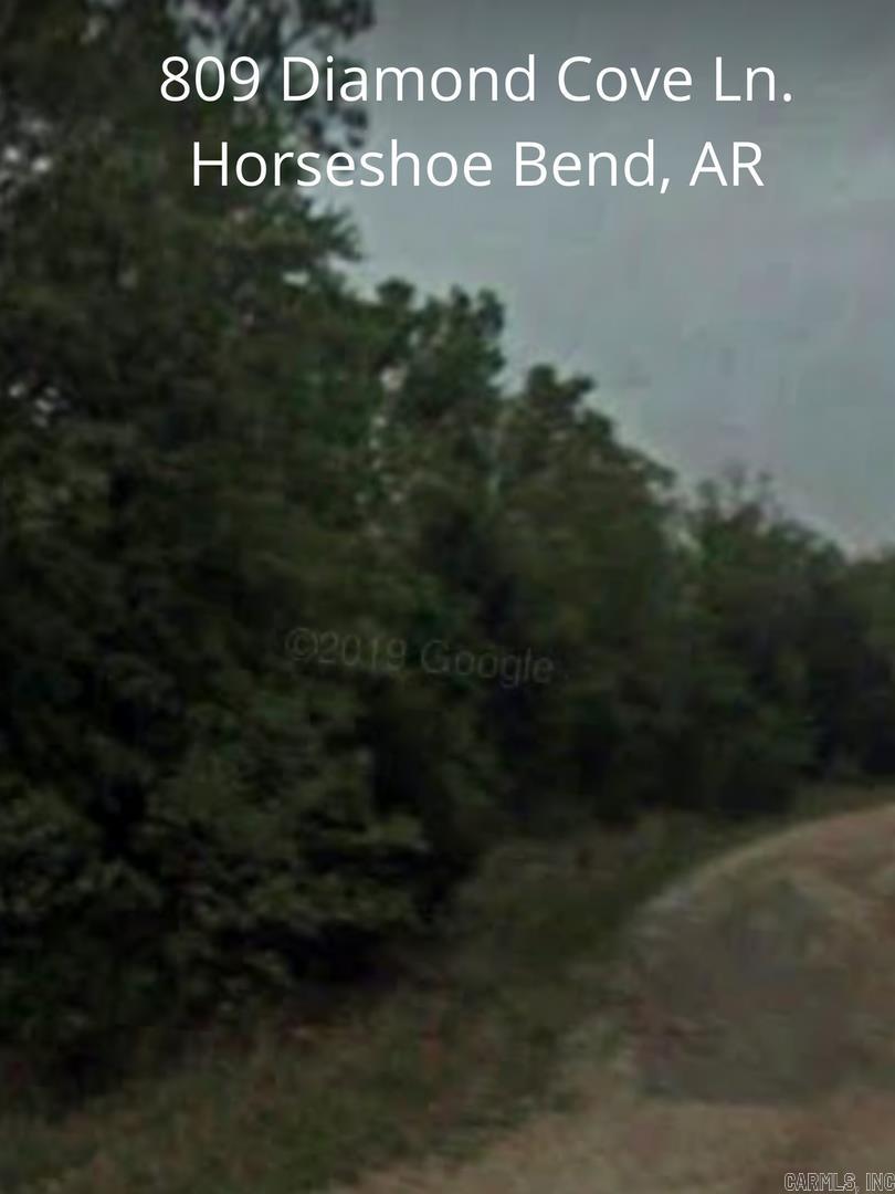 Photo 4 - Vacant Land for sale – 809  Diamond Cove Ln   Horseshoe Bend, AR