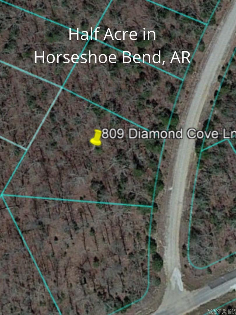 Photo 6 - Vacant Land for sale – 809  Diamond Cove Ln   Horseshoe Bend, AR