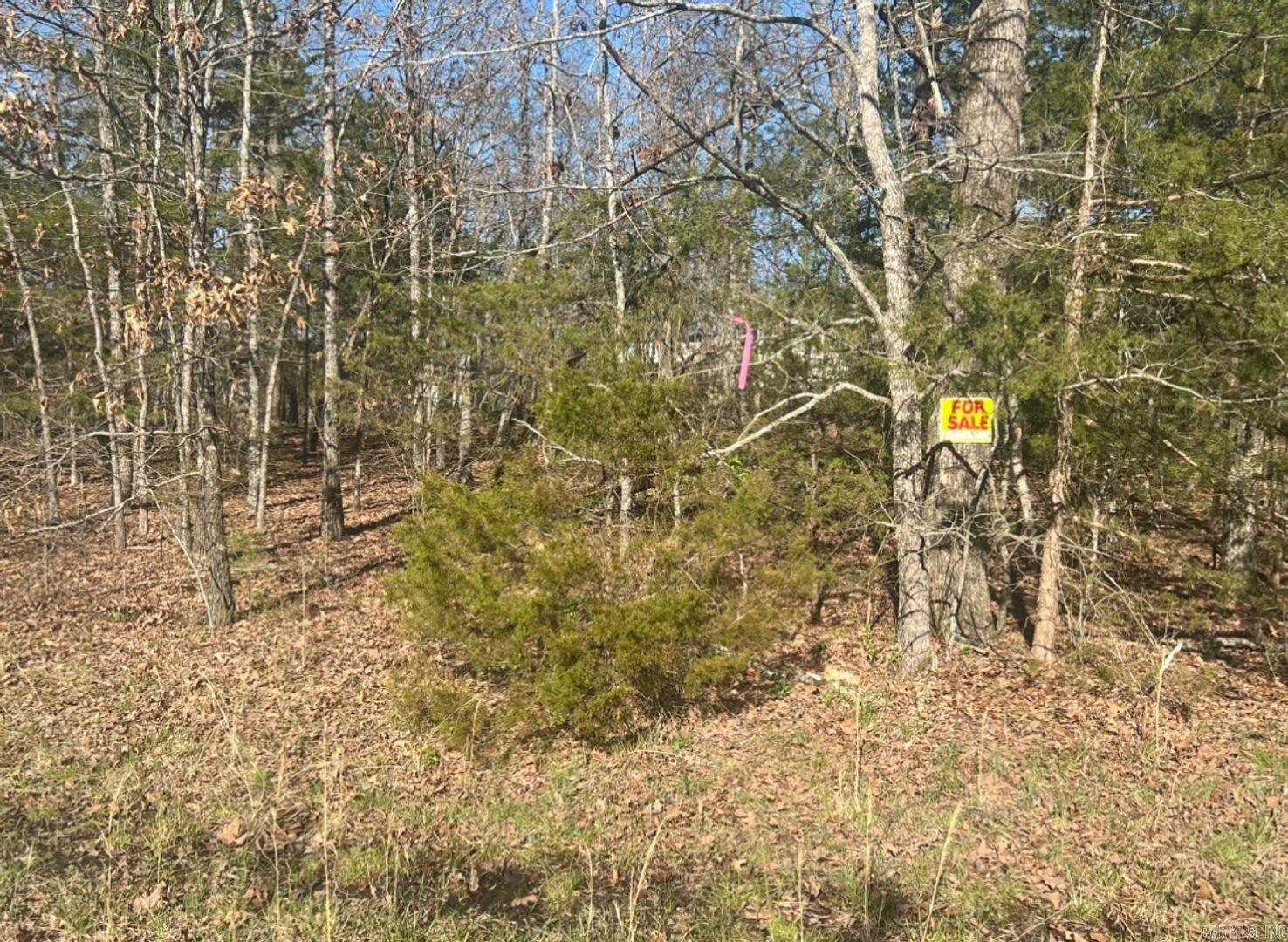 Vacant Land for sale – 0  Enterprise Lane   Horseshoe Bend, AR