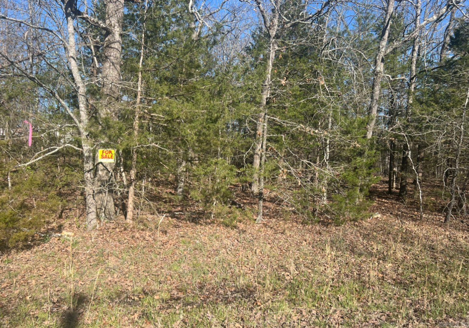 Vacant Land for sale – 0  Enterprise Lane   Horseshoe Bend, AR