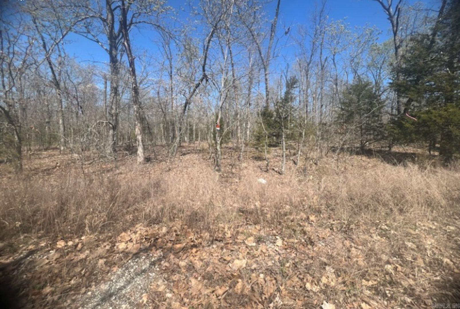 Vacant Land for sale – 1004  Walnut Ln   Horseshoe Bend, AR