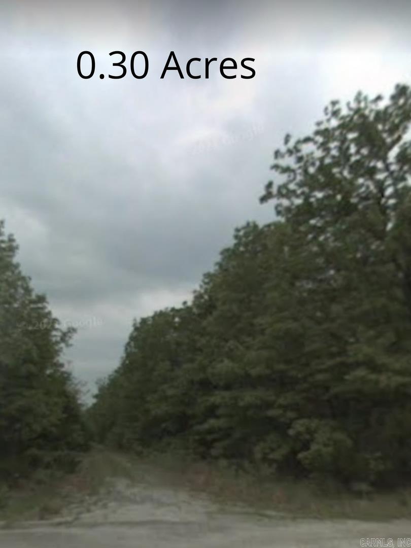 Photo 4 - Vacant Land for sale – 1004  Walnut Ln   Horseshoe Bend, AR