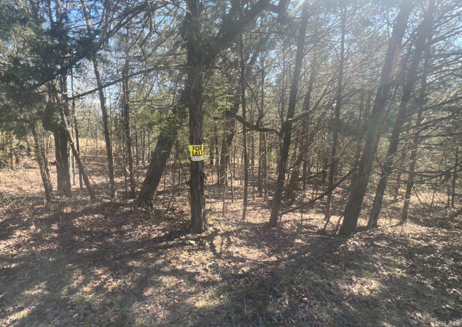 Vacant Land for sale – 203  Fairway Dr   Horseshoe Bend, AR