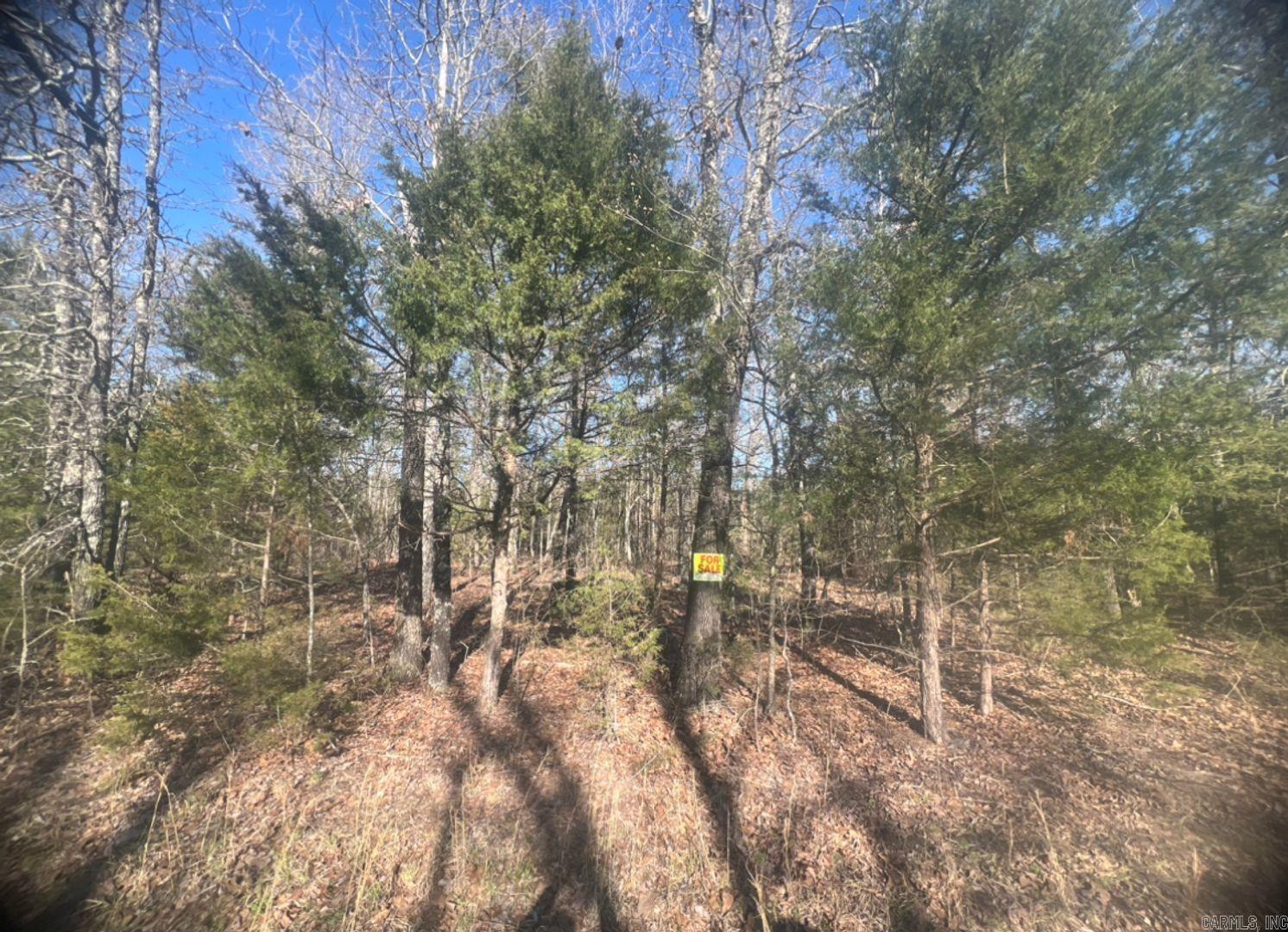 Vacant Land for sale – 0  Enterprise Lane   Horseshoe Bend, AR