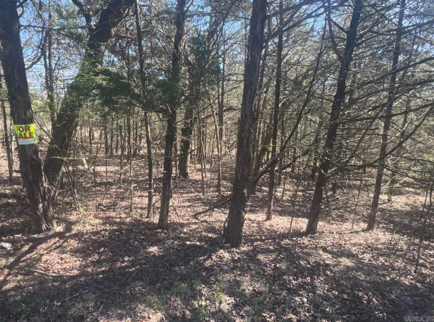 Photo 2 - Vacant Land for sale – 203  Fairway Dr   Horseshoe Bend, AR