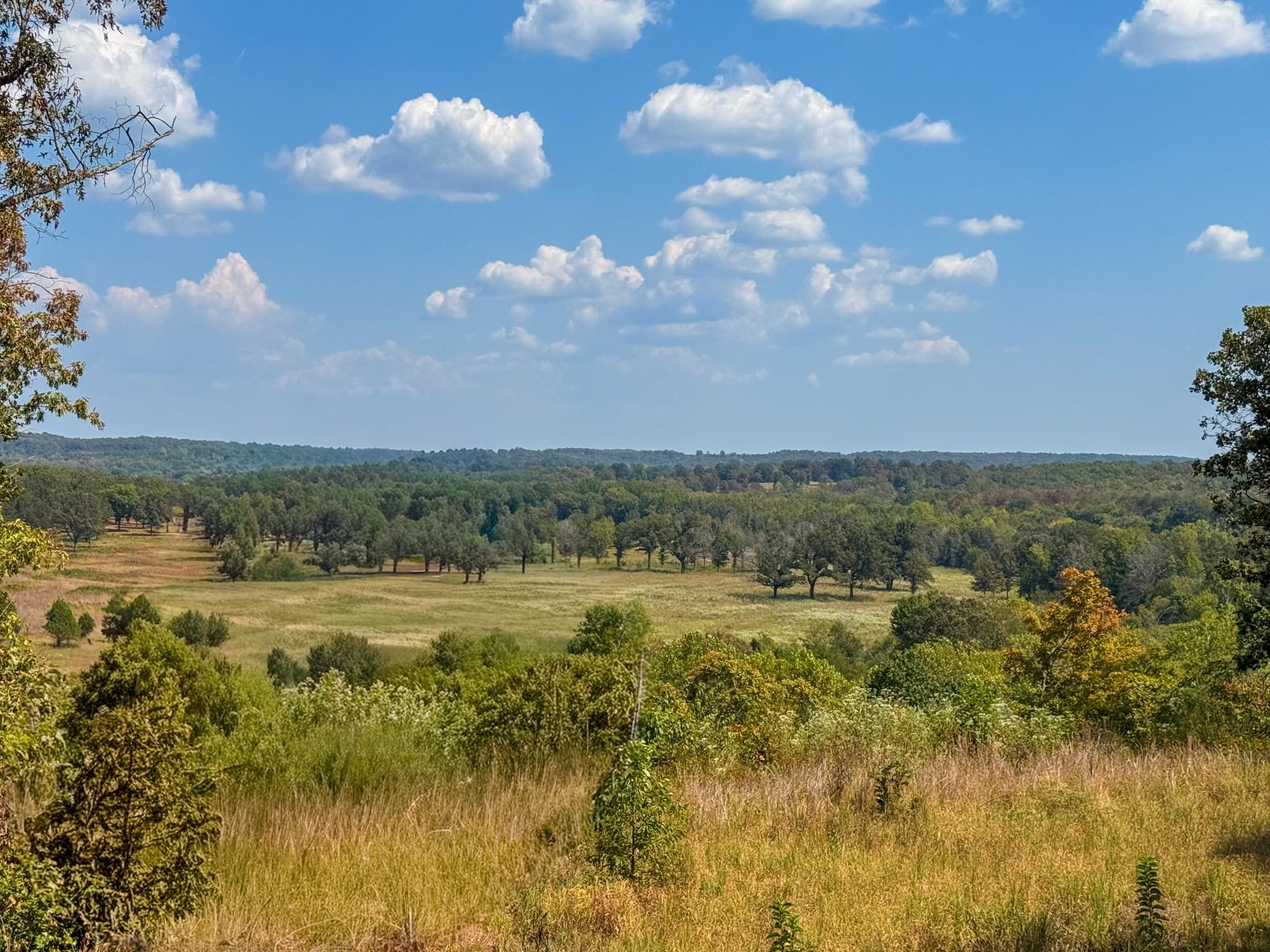 Photo 4 - Residential for sale – 60  Tablerock   Evening Shade, AR