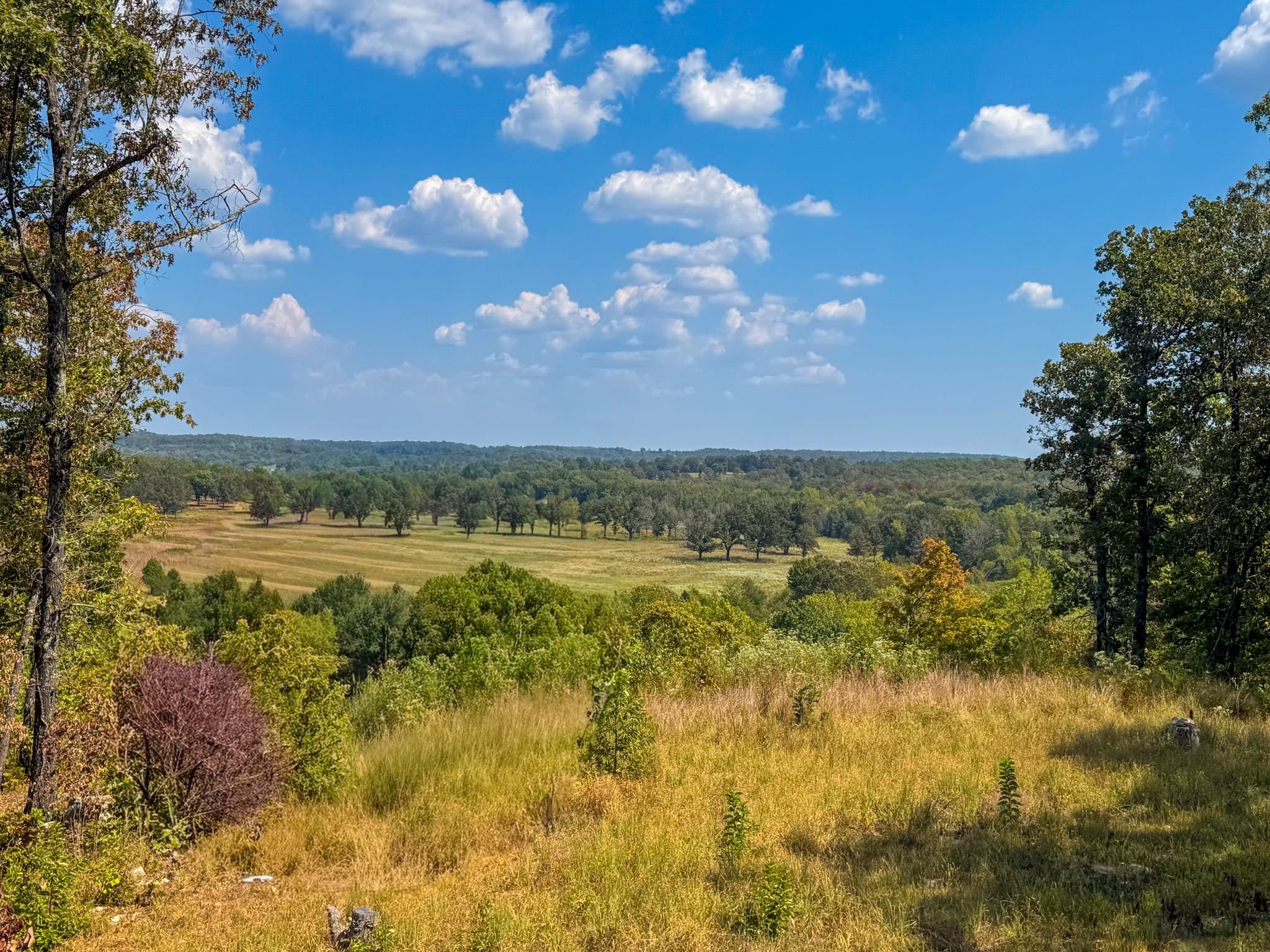 Photo 39 - Residential for sale – 60  Tablerock   Evening Shade, AR