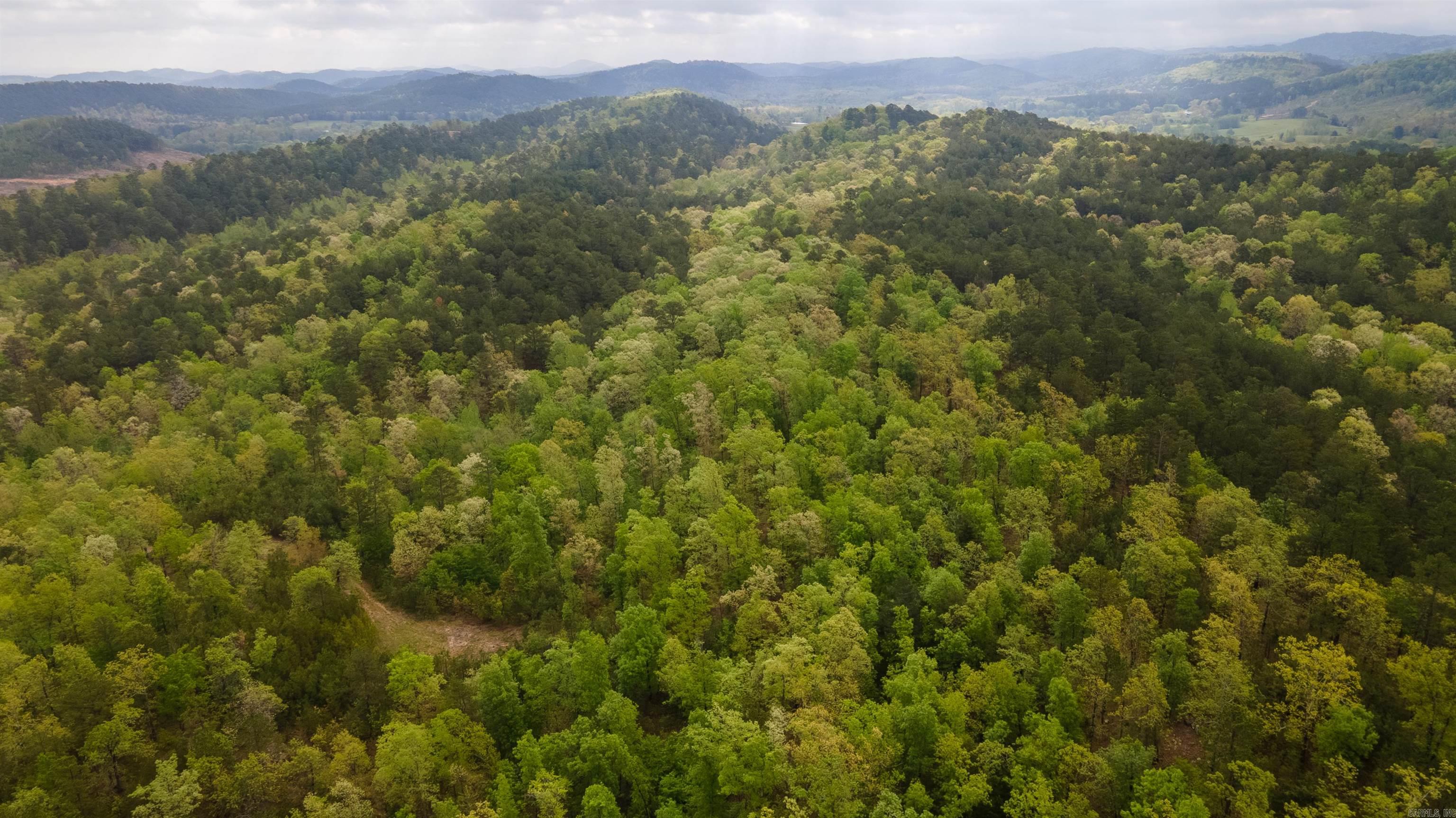 Farm/Ranch/Land for sale – 9999  Polk ROAD 62   Mena, AR