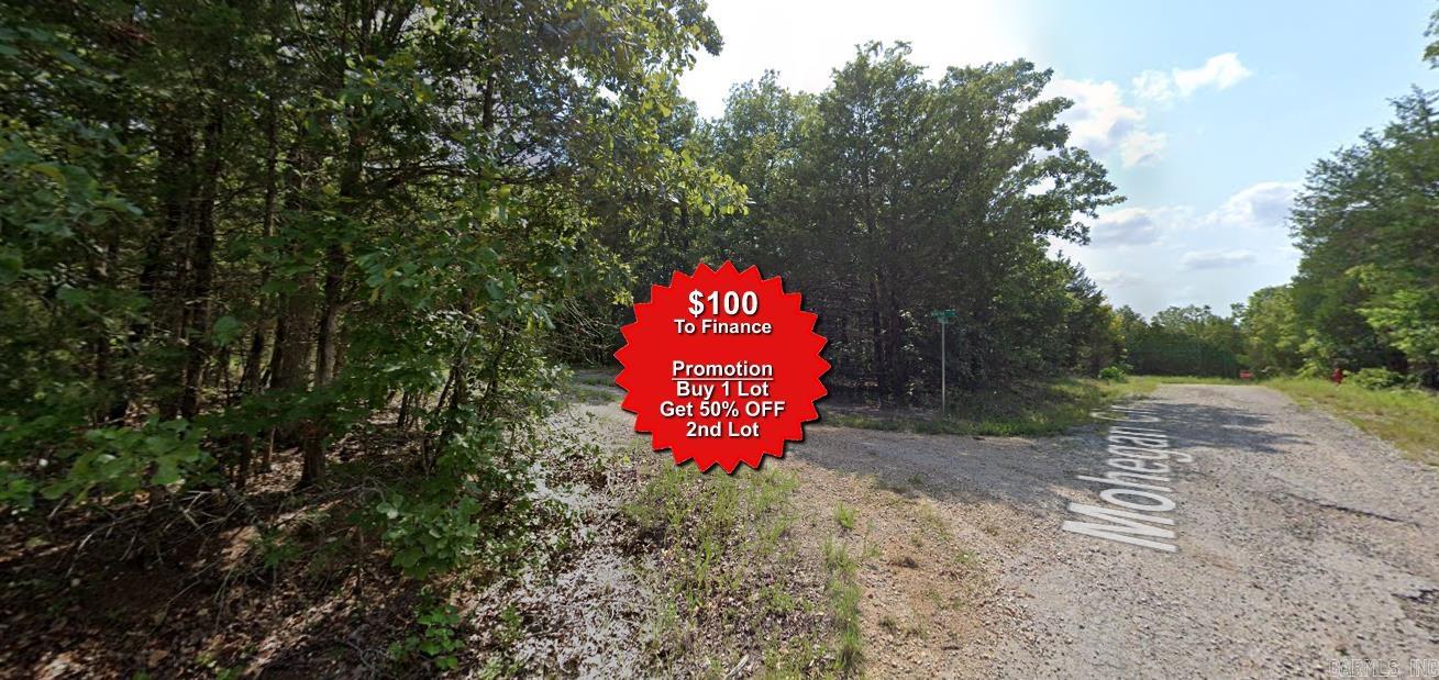 Vacant Land for sale – Lot 2  Winetka   Cherokee Village, AR