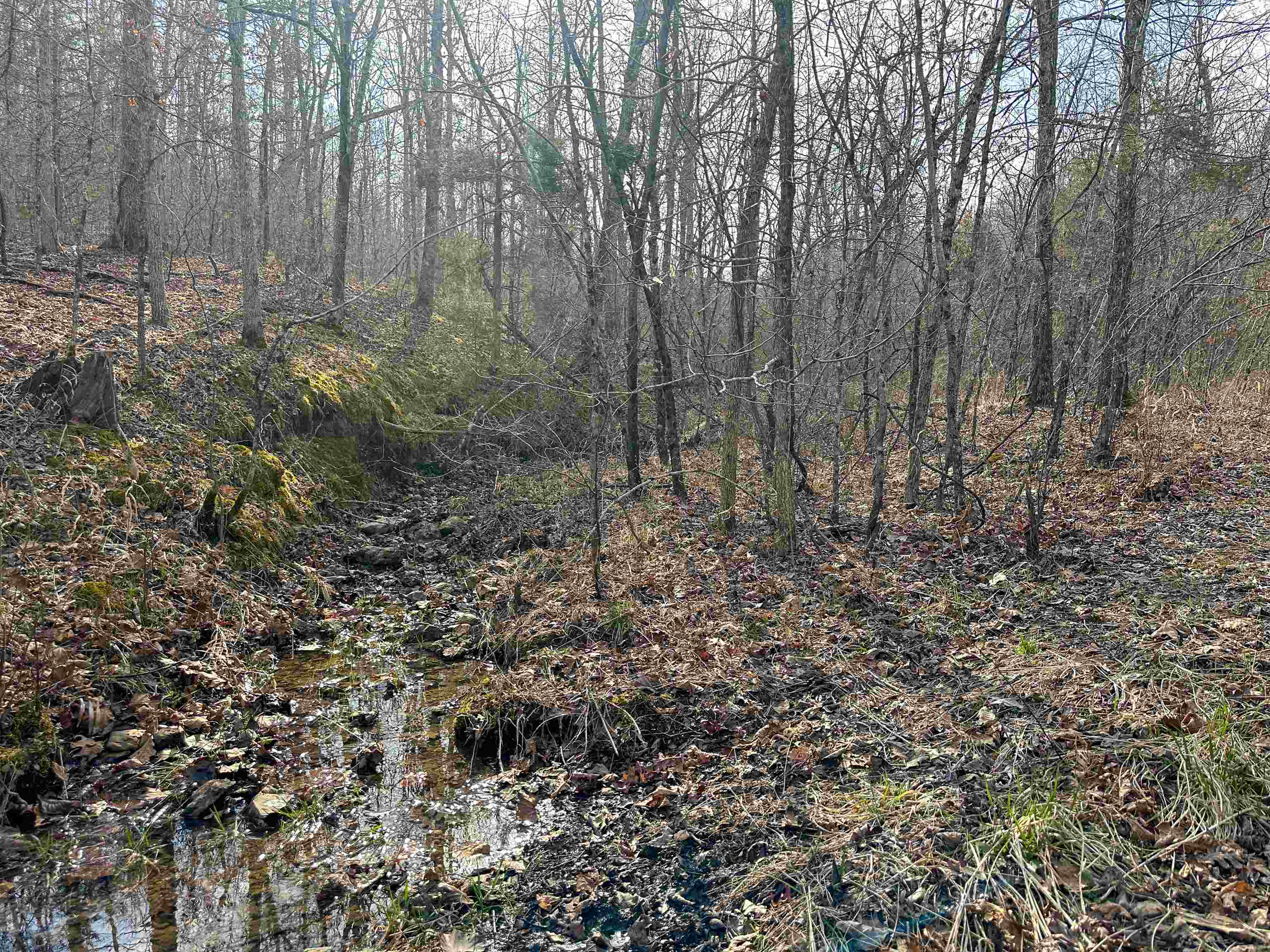 Photo 2 - Vacant Land for sale – XX N Summit Ridge   Williford, AR