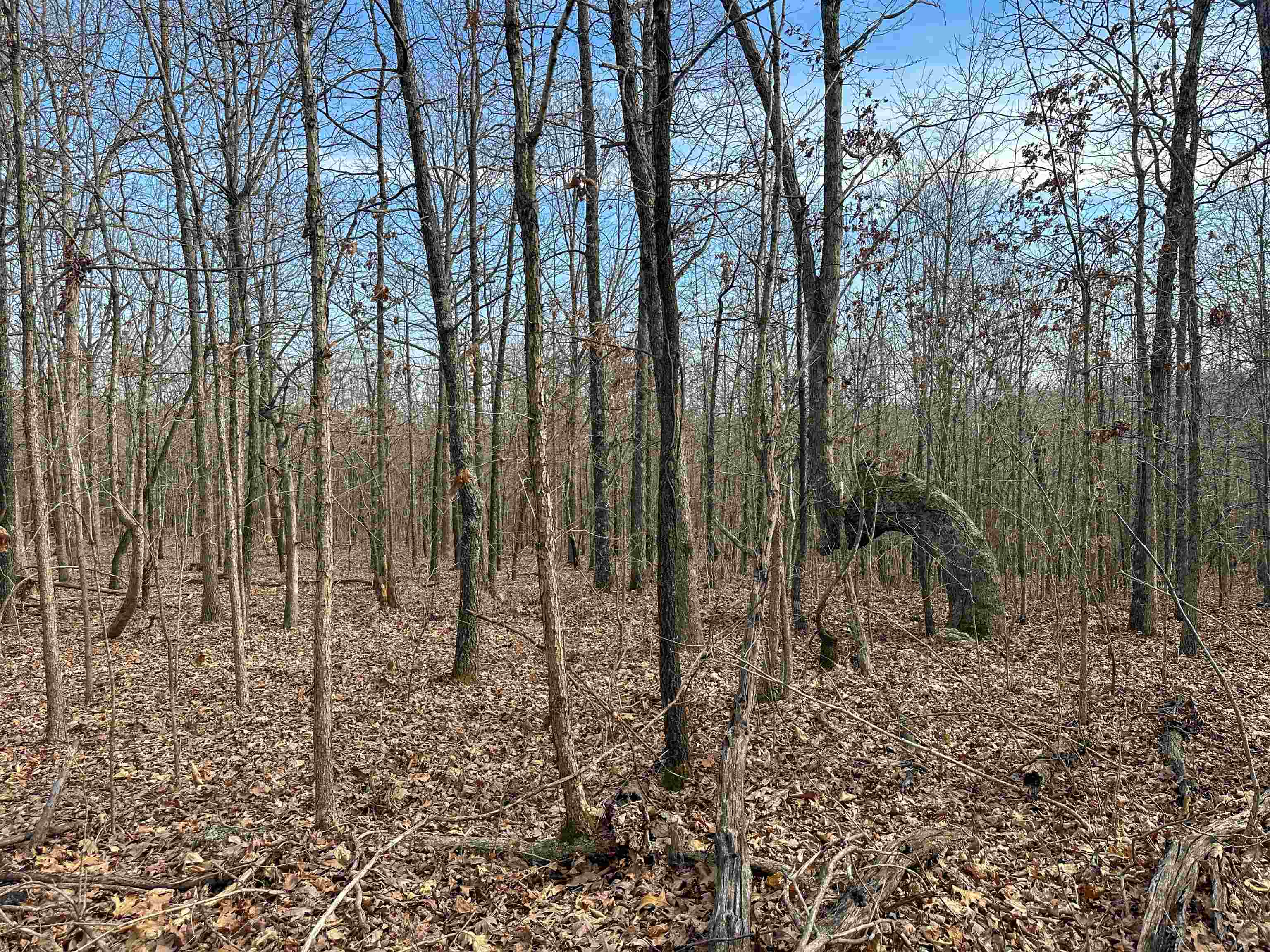 Photo 15 - Vacant Land for sale – XX N Summit Ridge   Williford, AR