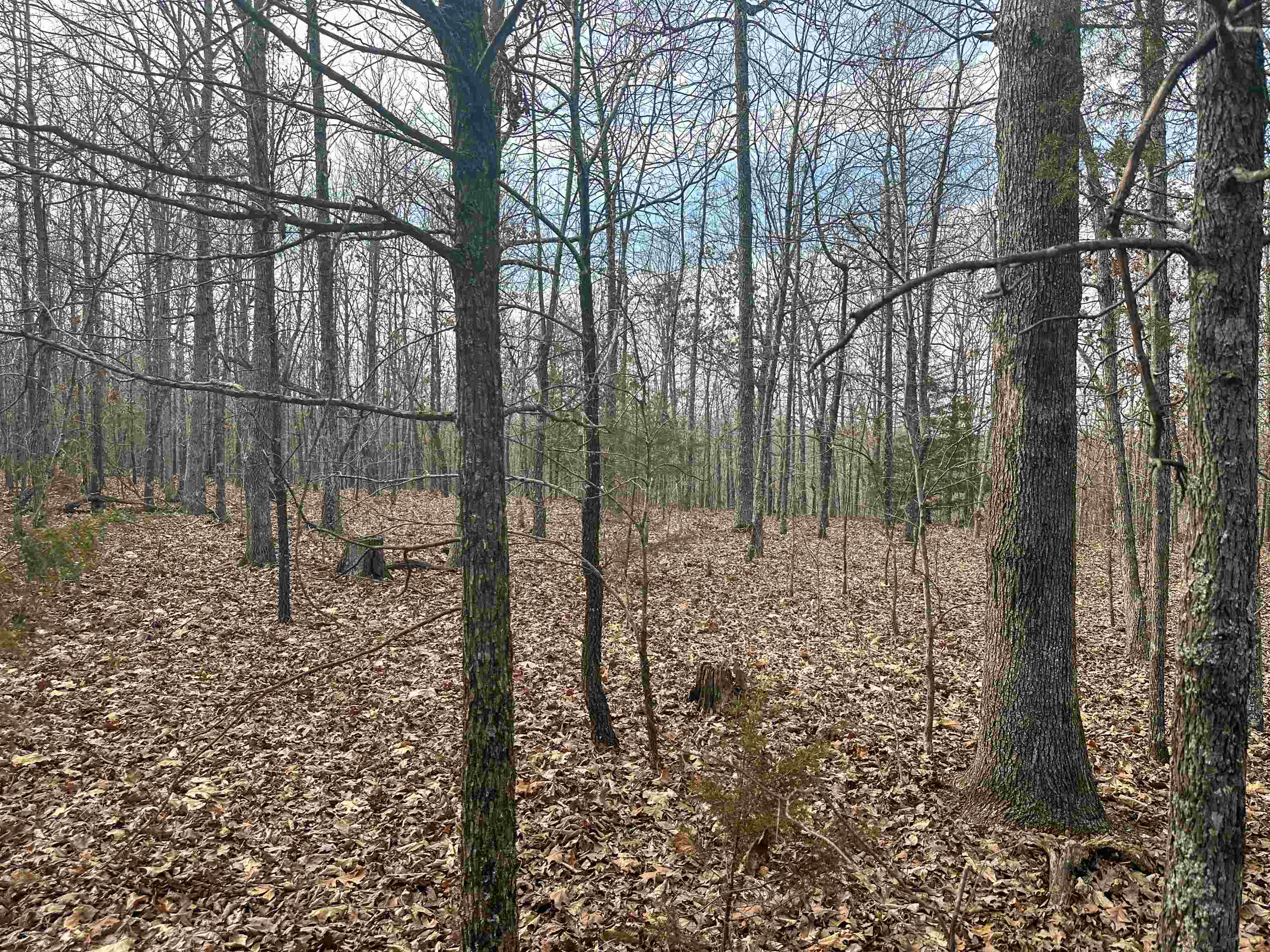 Photo 17 - Vacant Land for sale – XX N Summit Ridge   Williford, AR