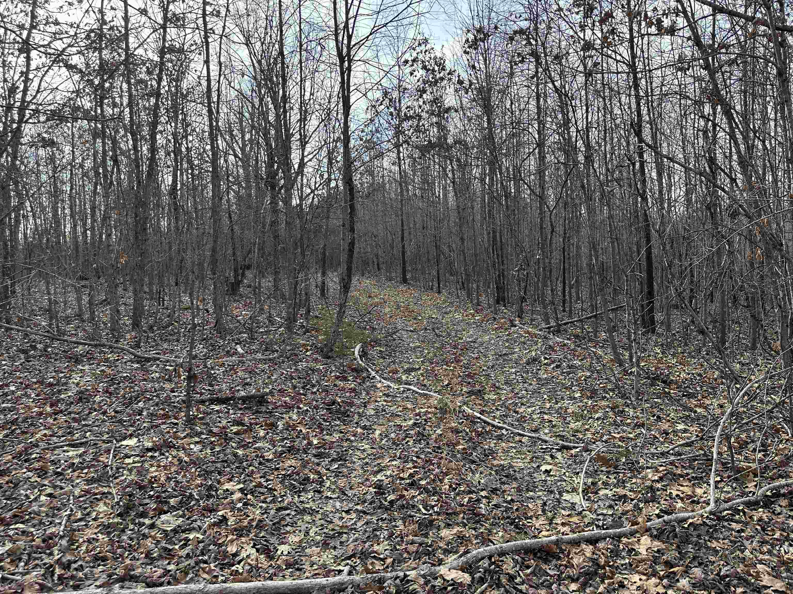 Photo 18 - Vacant Land for sale – XX N Summit Ridge   Williford, AR