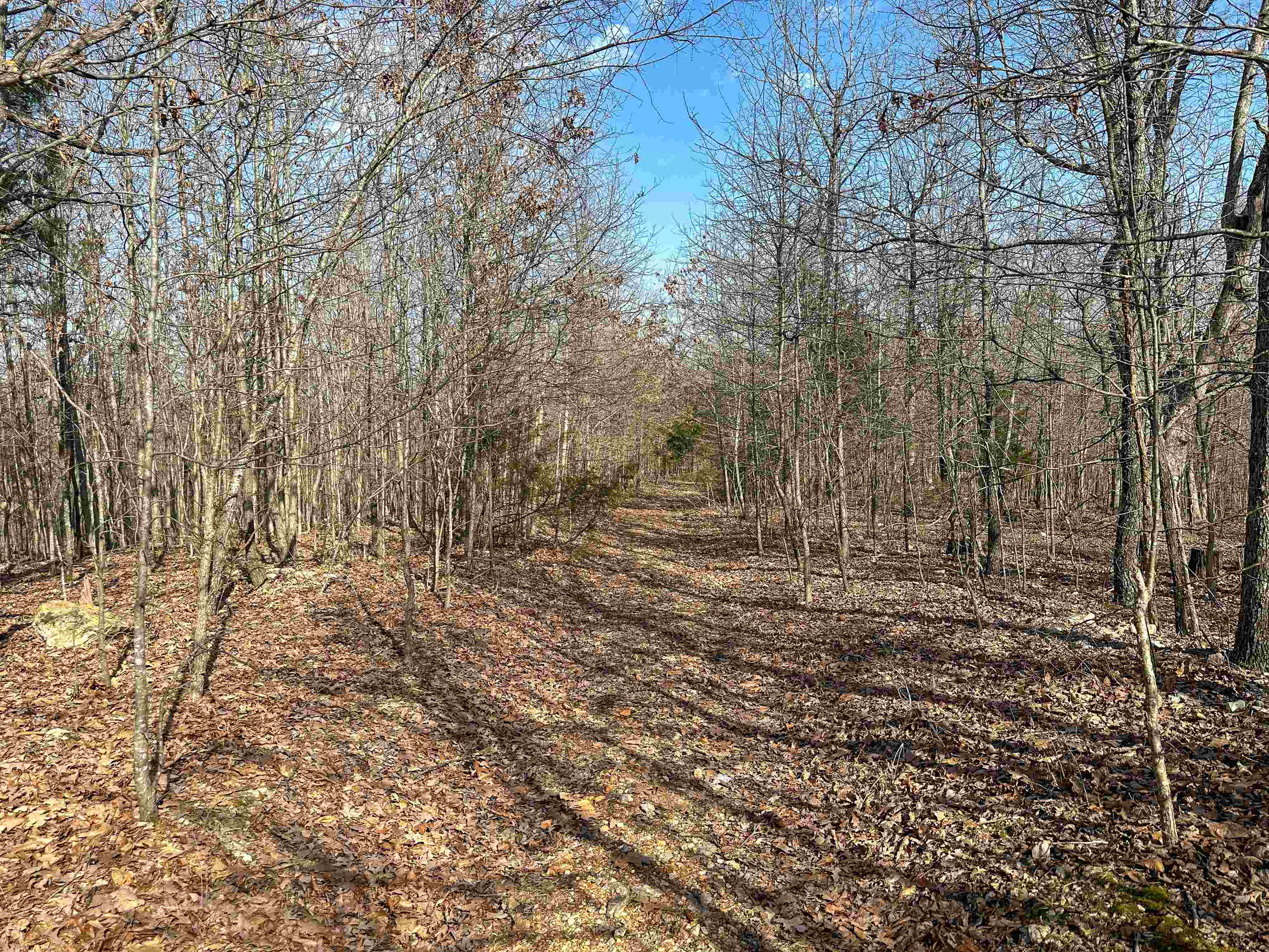 Photo 19 - Vacant Land for sale – XX N Summit Ridge   Williford, AR