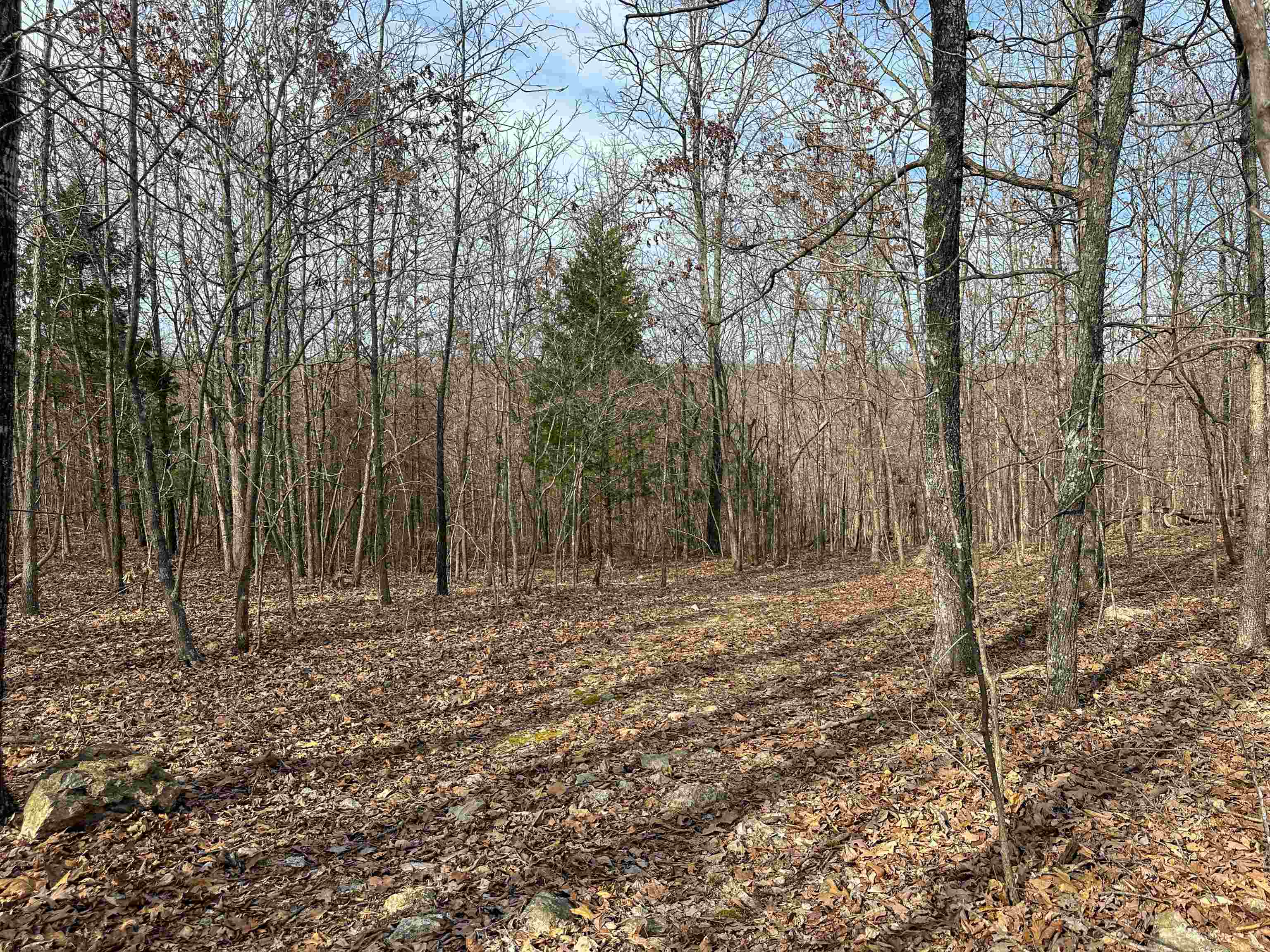 Photo 21 - Vacant Land for sale – XX N Summit Ridge   Williford, AR