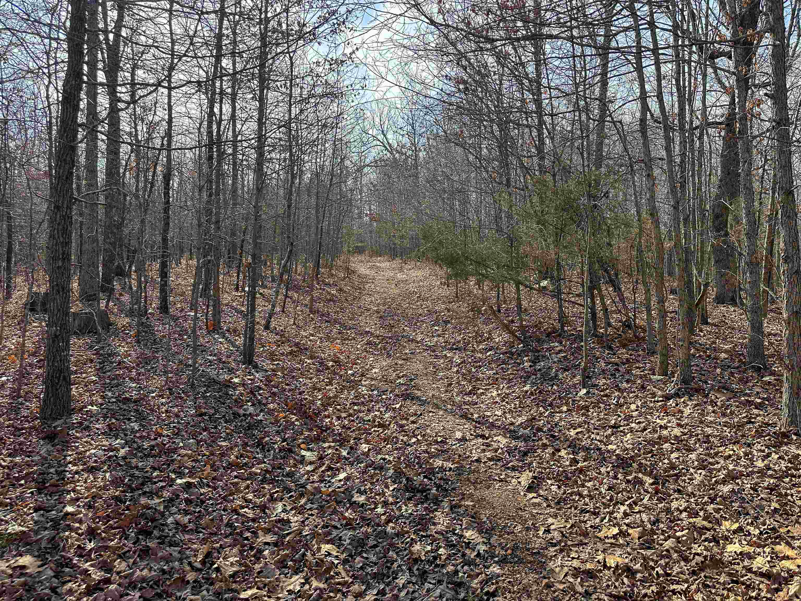 Photo 22 - Vacant Land for sale – XX N Summit Ridge   Williford, AR