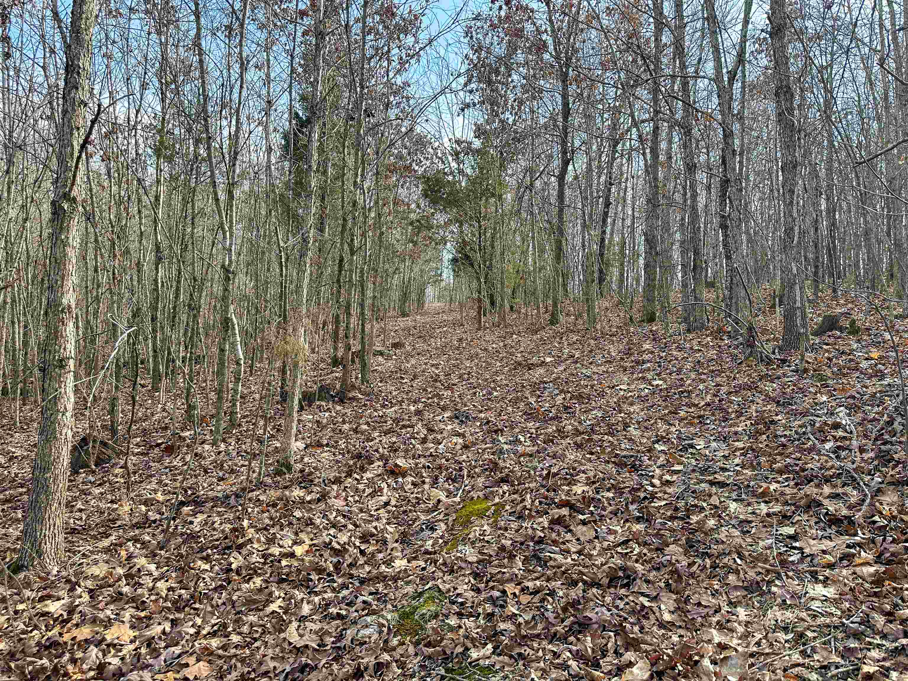 Photo 24 - Vacant Land for sale – XX N Summit Ridge   Williford, AR