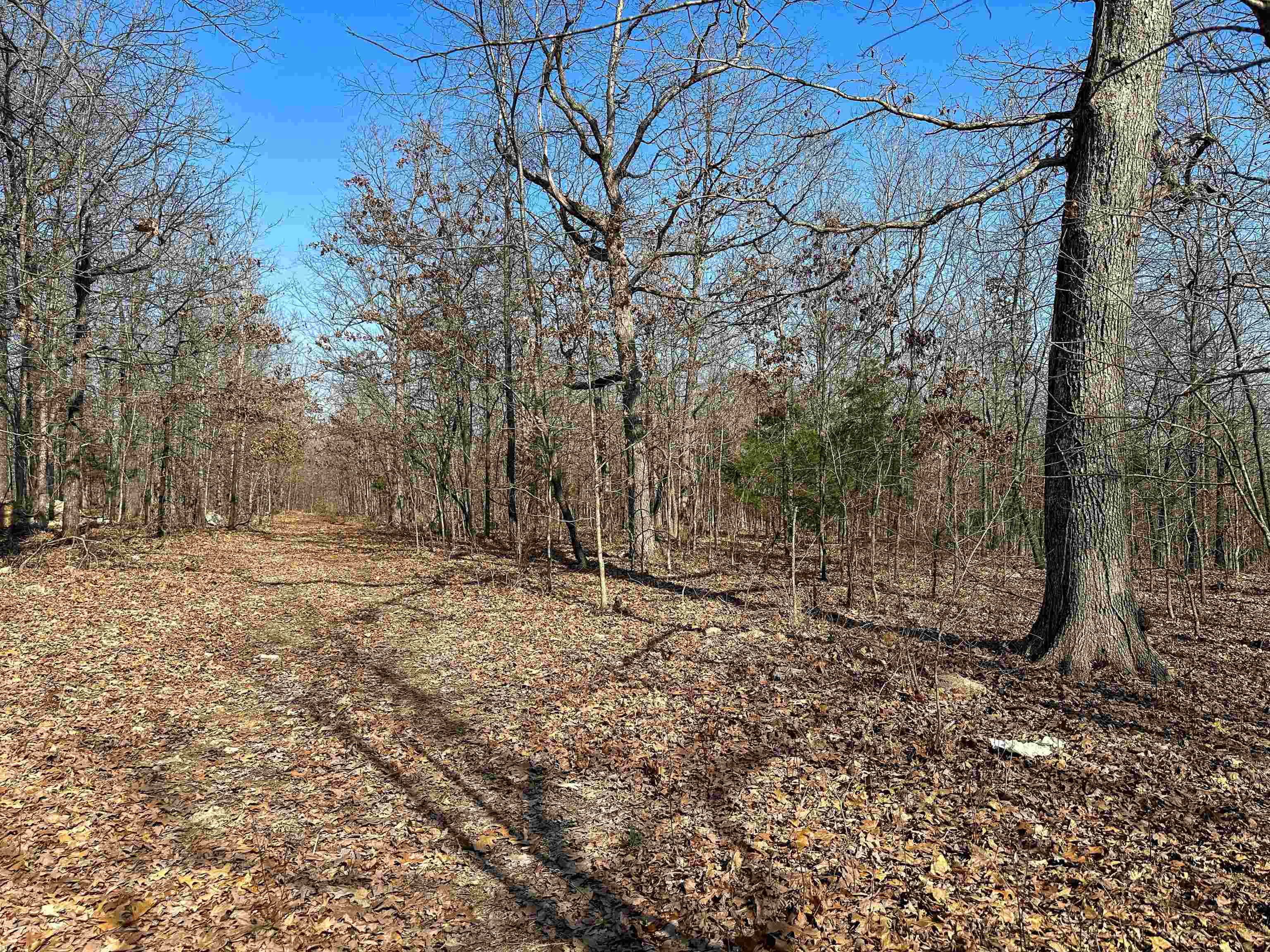 Photo 25 - Vacant Land for sale – XX N Summit Ridge   Williford, AR