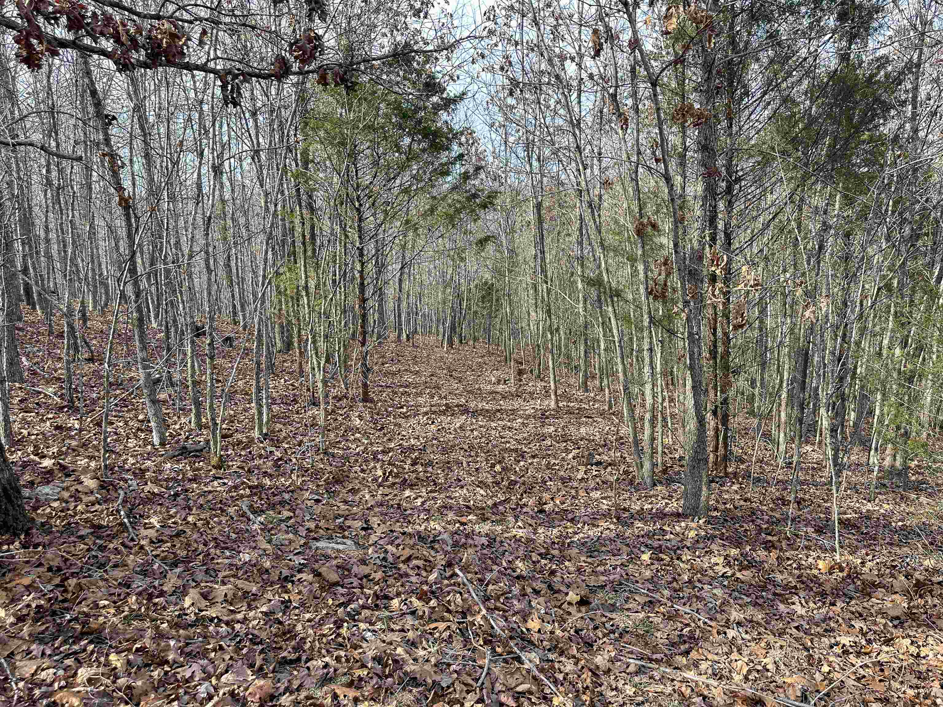 Photo 27 - Vacant Land for sale – XX N Summit Ridge   Williford, AR
