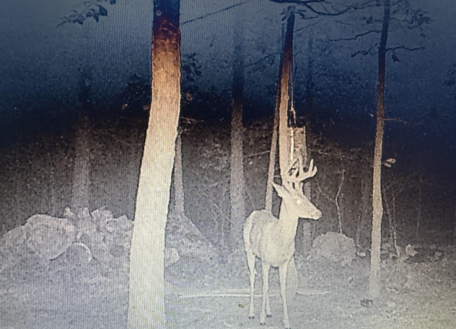 Photo 28 - Vacant Land for sale – XX N Summit Ridge   Williford, AR