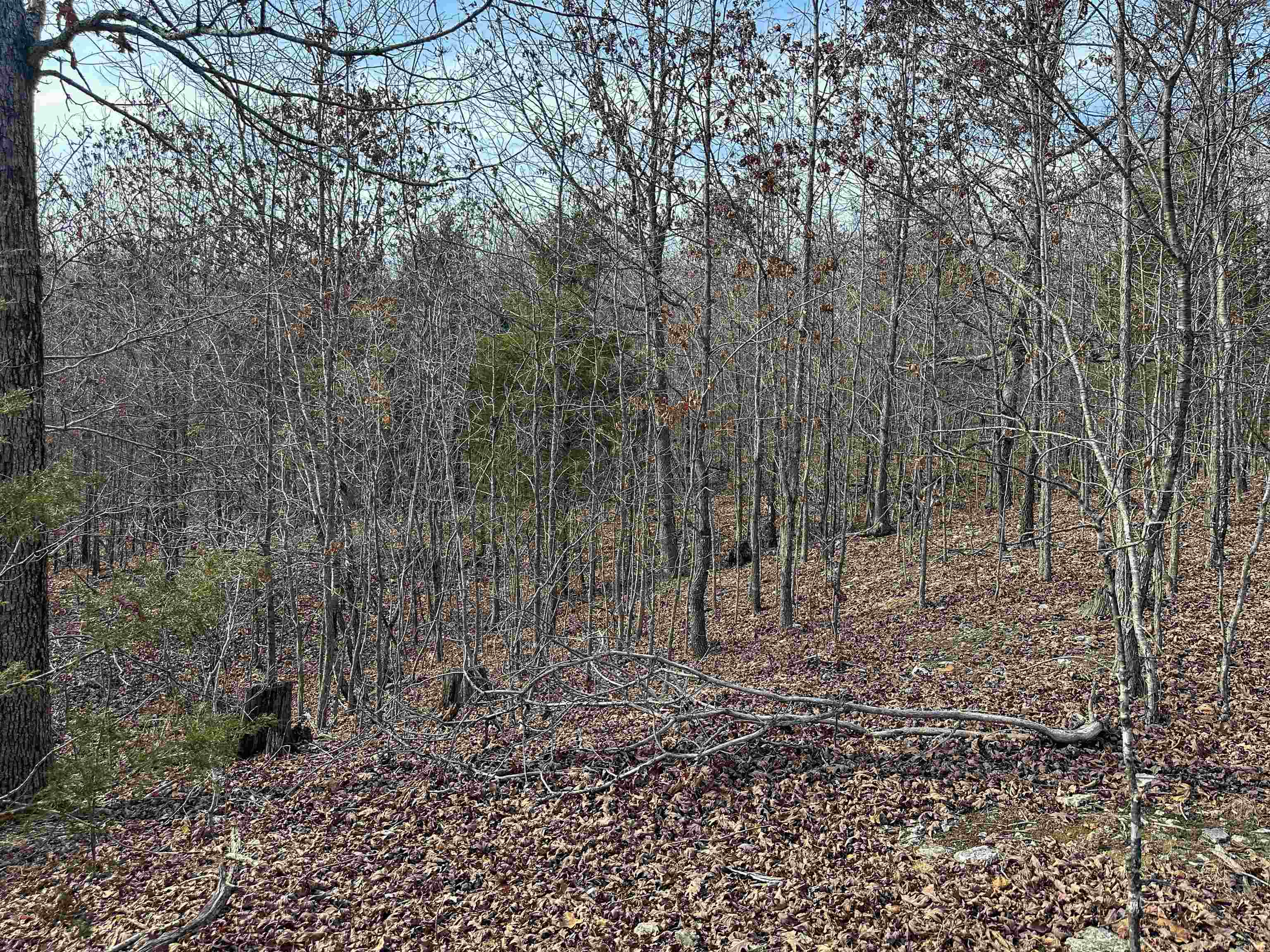 Photo 29 - Vacant Land for sale – XX N Summit Ridge   Williford, AR
