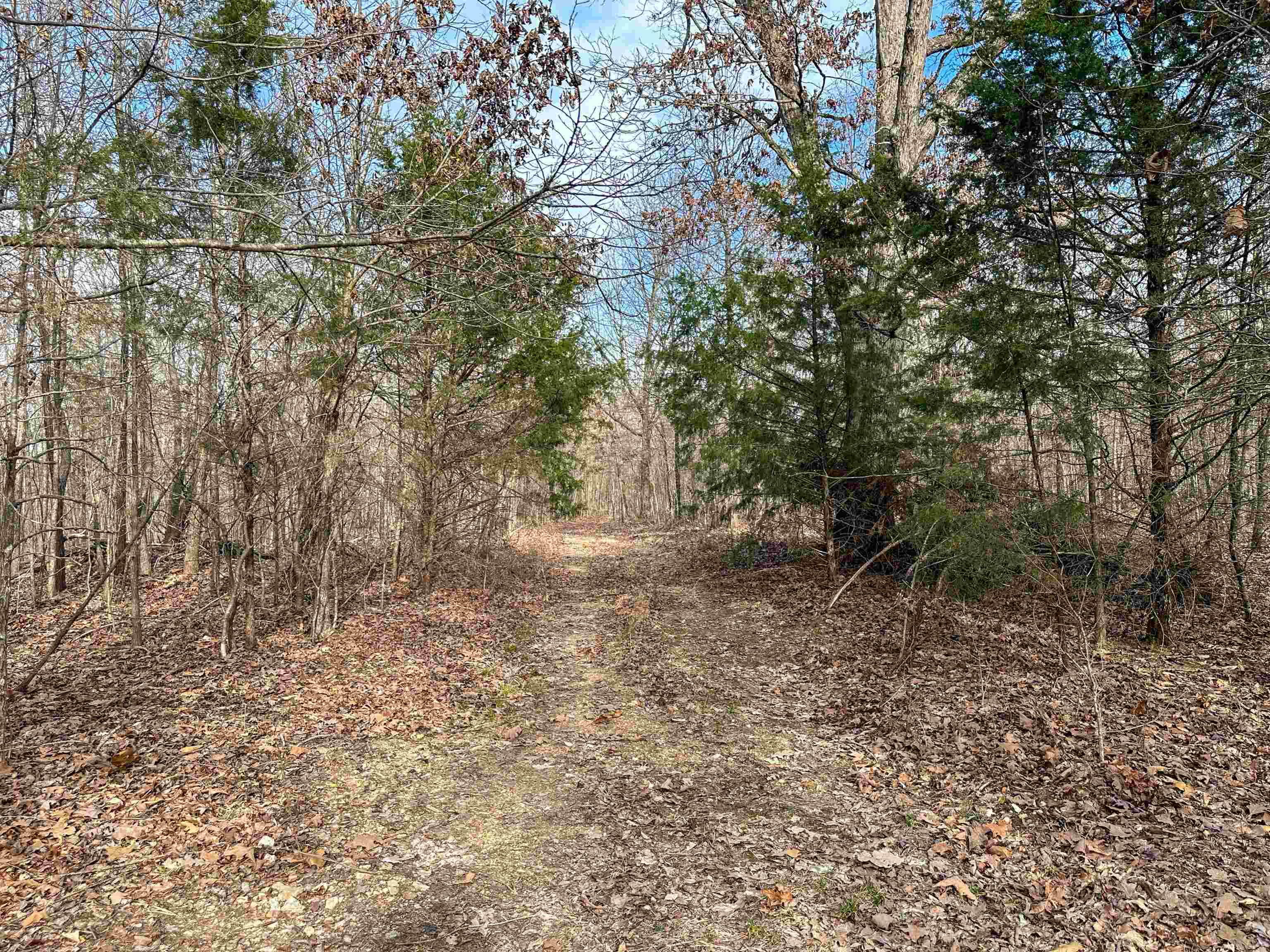 Photo 4 - Vacant Land for sale – XX N Summit Ridge   Williford, AR